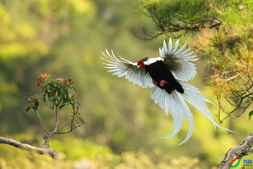 10.16����������ʦ��Ʒ   ������Ȼ��ף���ٻ��Ա������.jpg