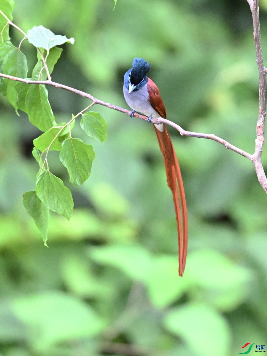 DSC_6891.JPG