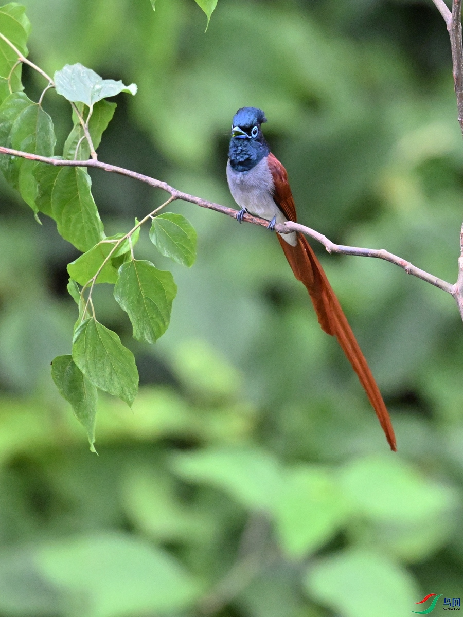DSC_6903.JPG