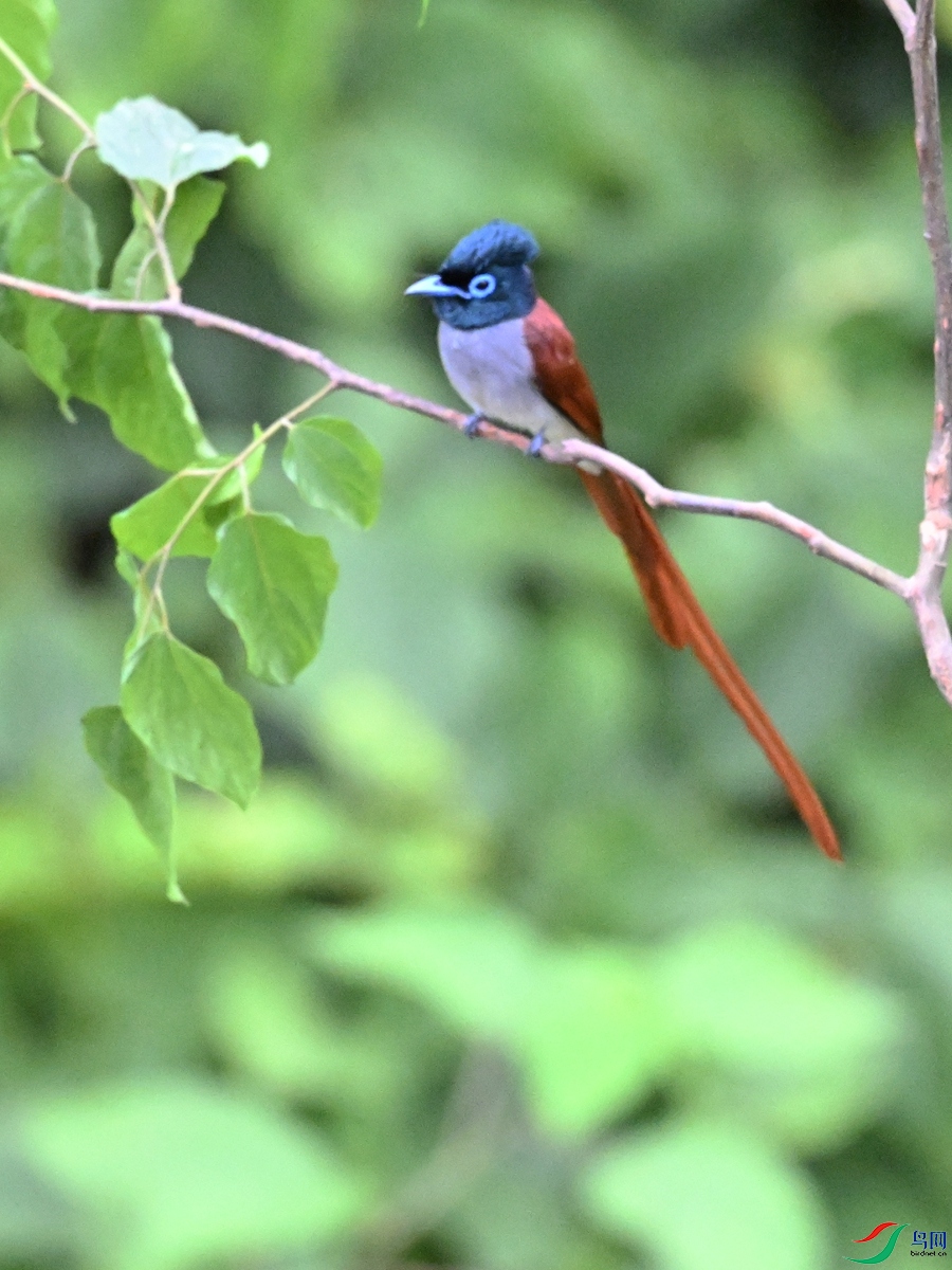 DSC_6892.JPG