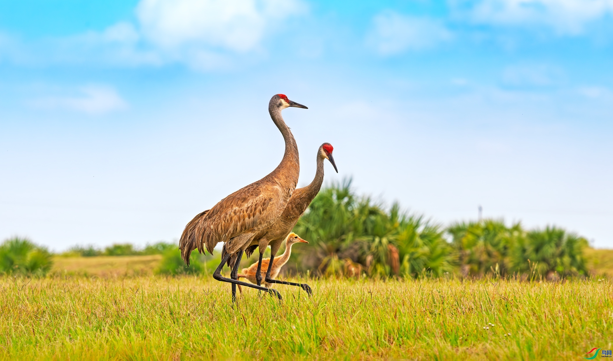 10.23����������ʦ��Ʒ   �������� ��ף���ٻ�ÿ�ռ�����.jpg