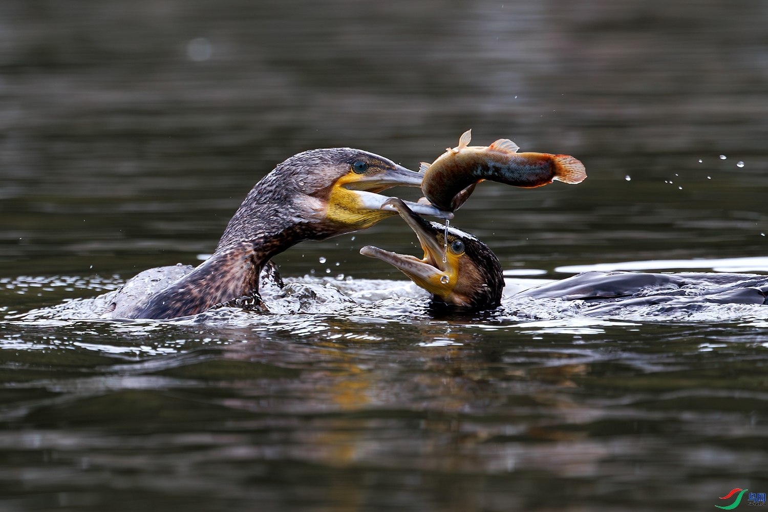 10.23ѧ����ʦ��Ʒ   ��������ף���ٻ���Ӱʦ������.jpg