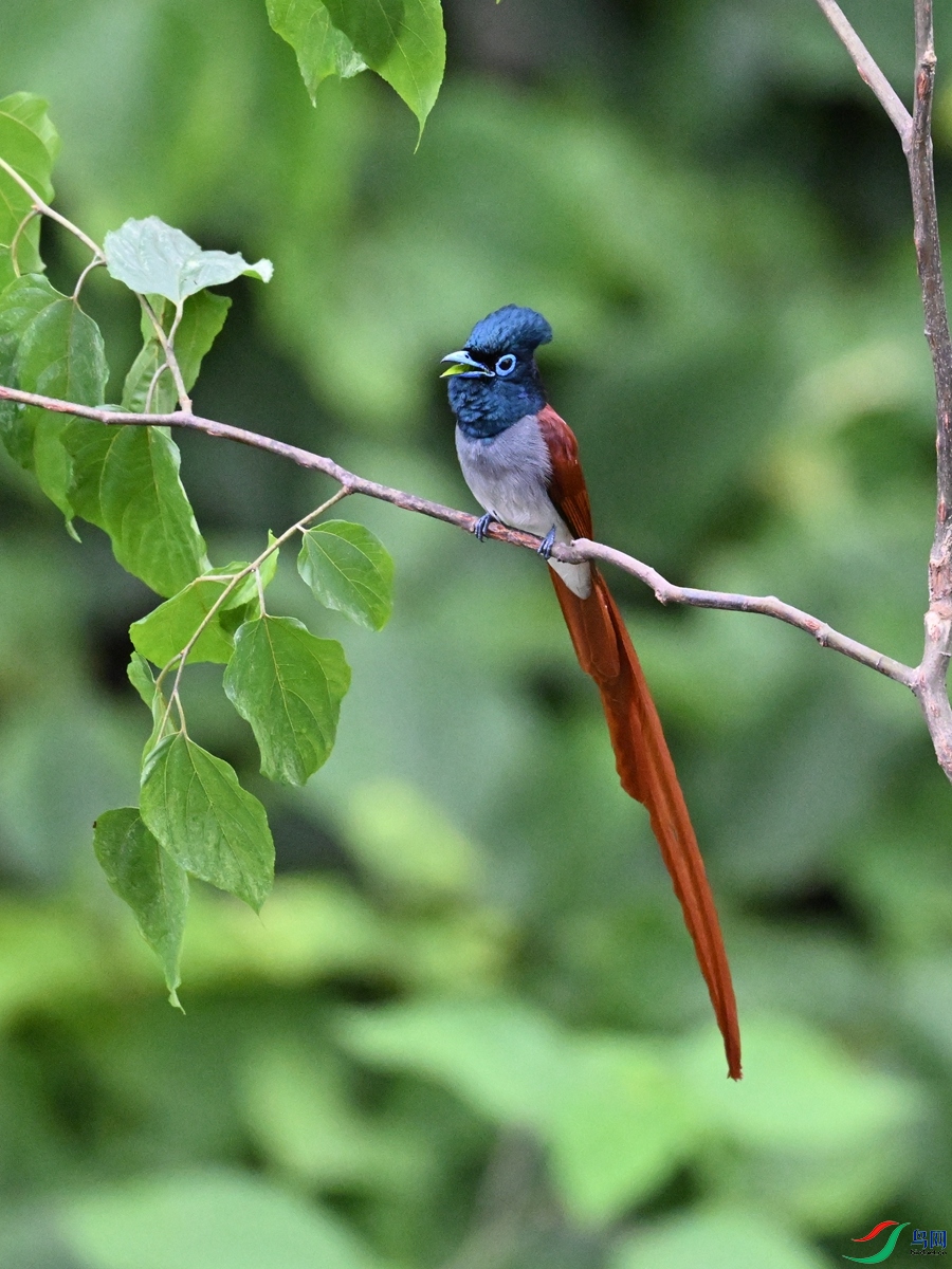 DSC_6907.JPG
