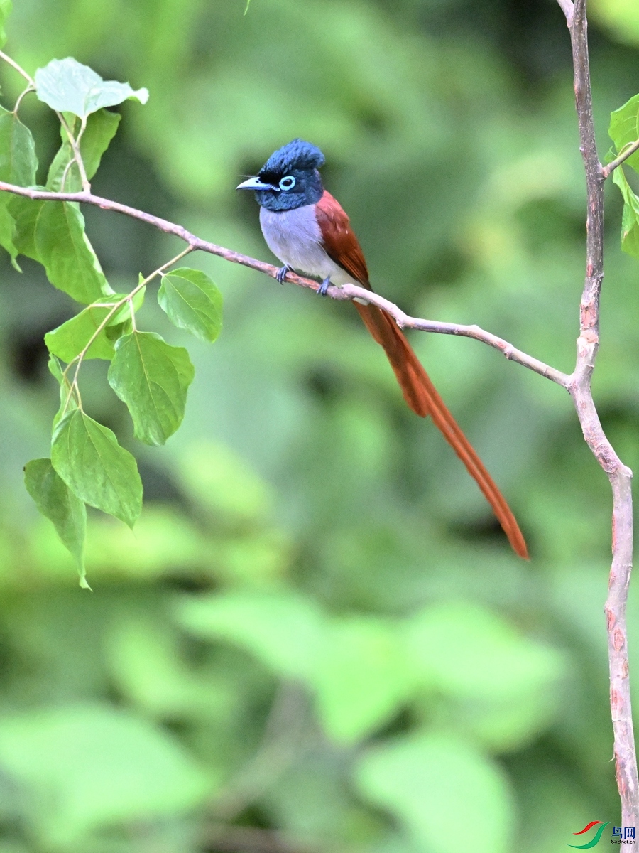 DSC_6894.JPG