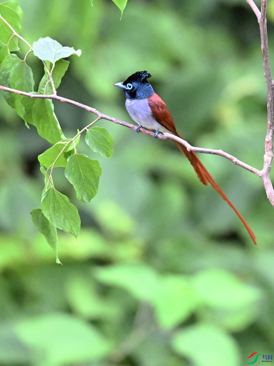 DSC_6895.JPG
