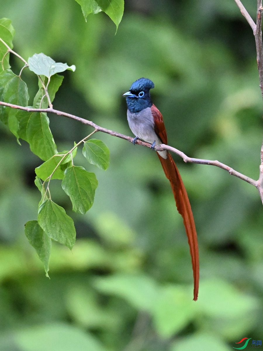 DSC_6909.JPG