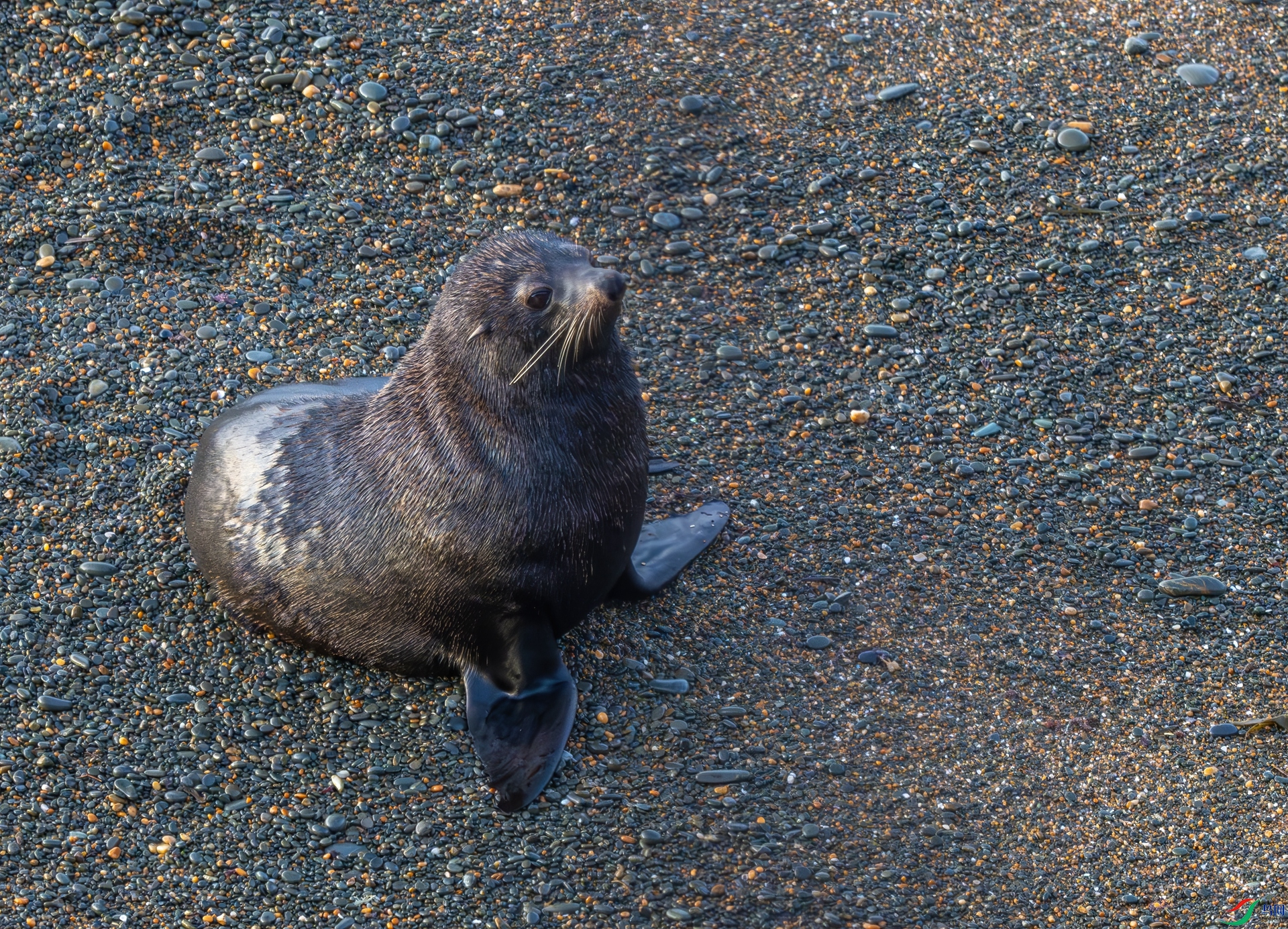 DSC_2723.jpg