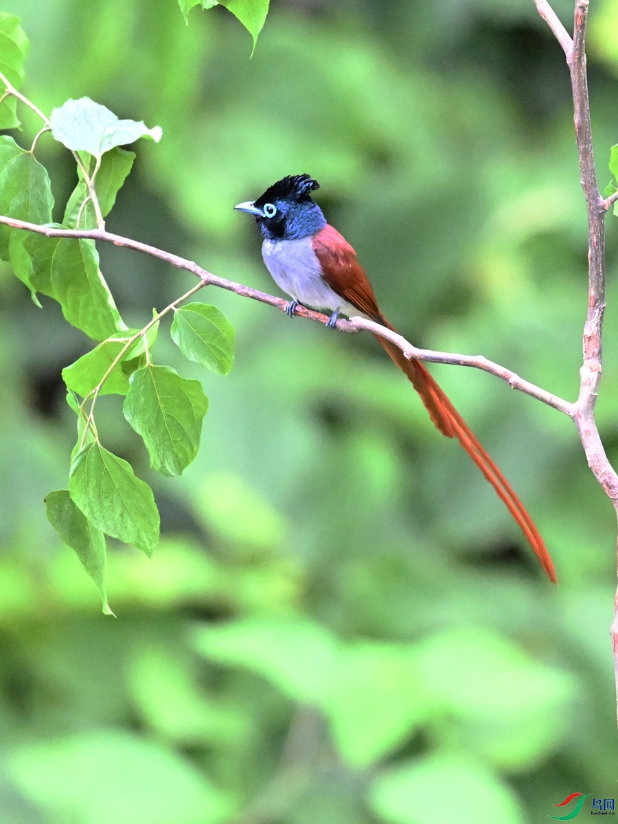 DSC_6898.JPG