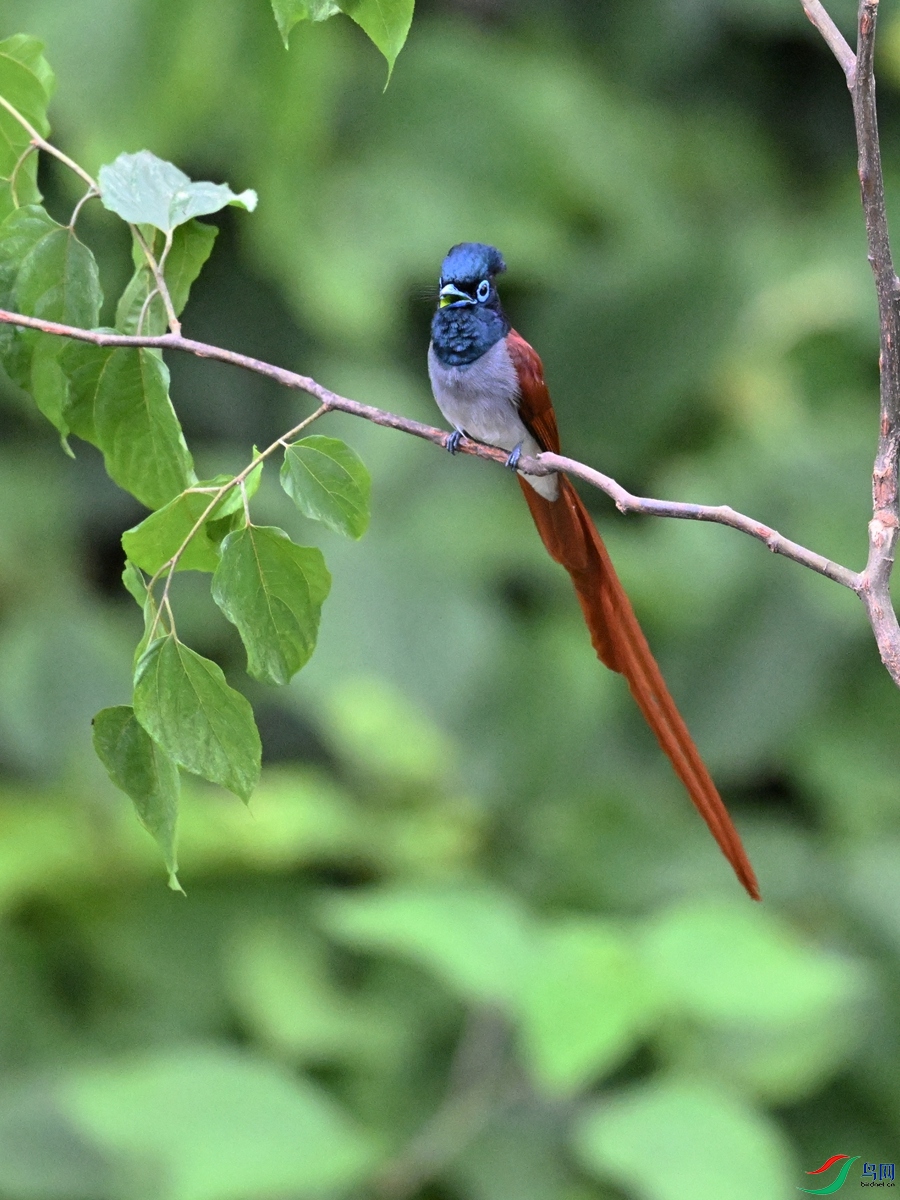 DSC_6904.JPG