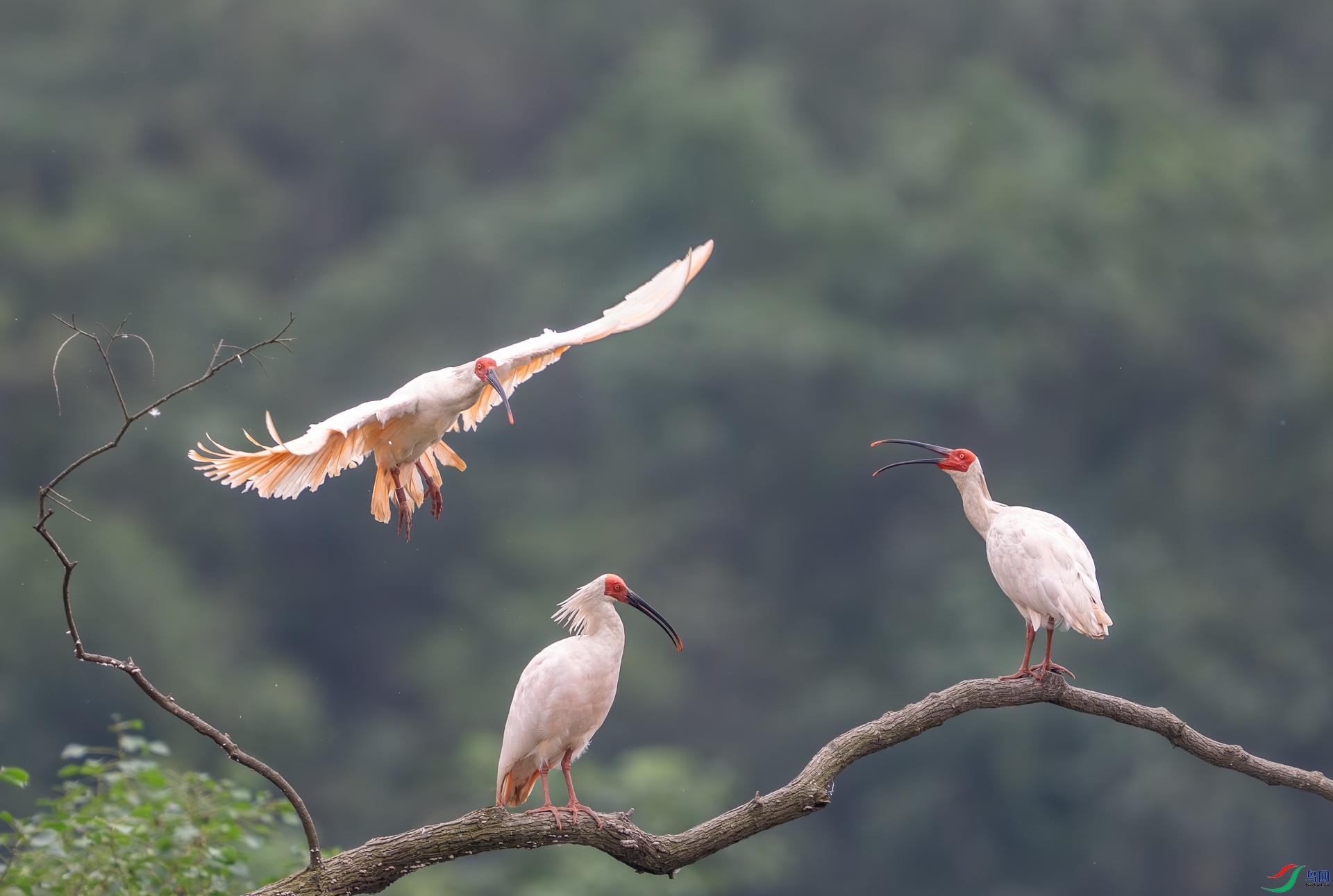 DSC_9279-1.jpg