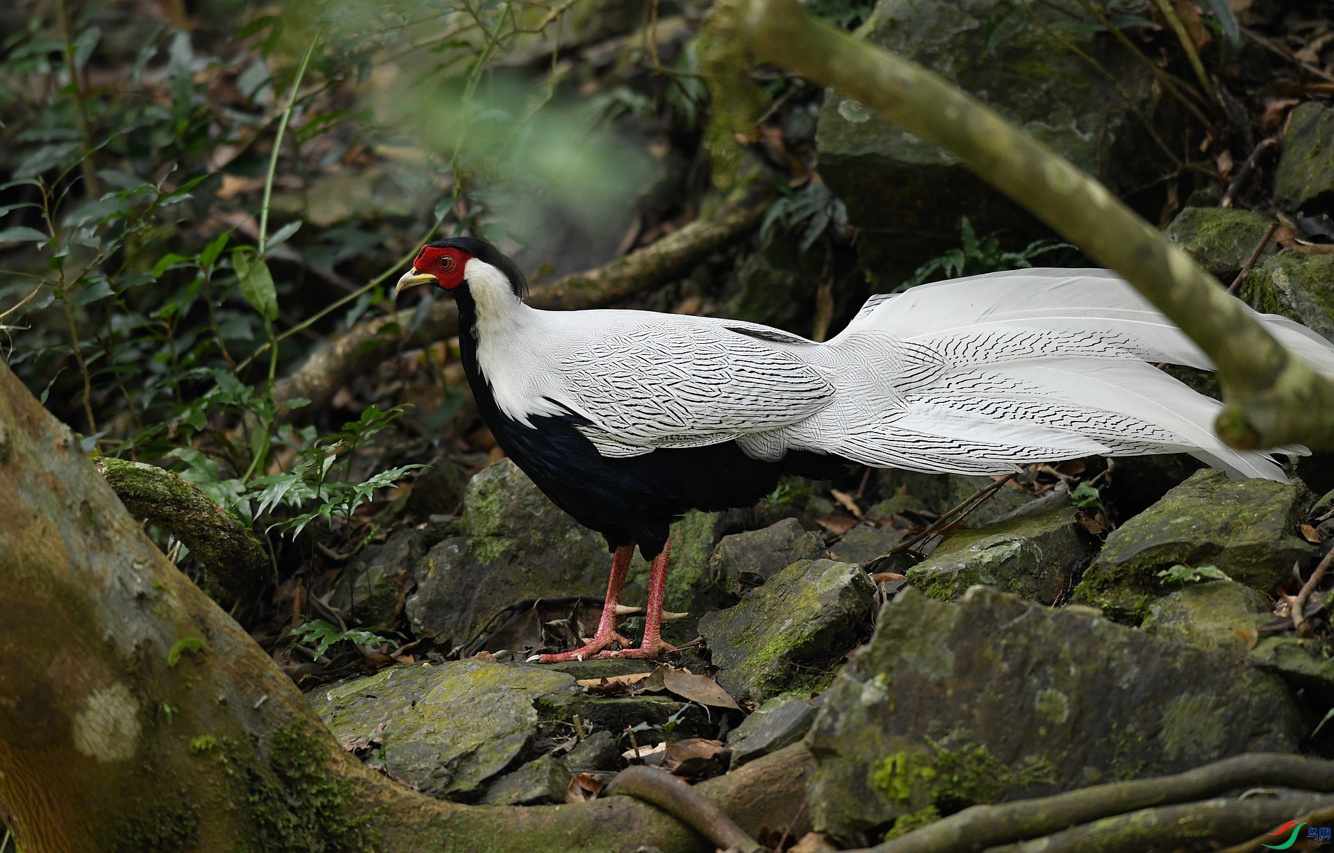 DSC_1735.jpg