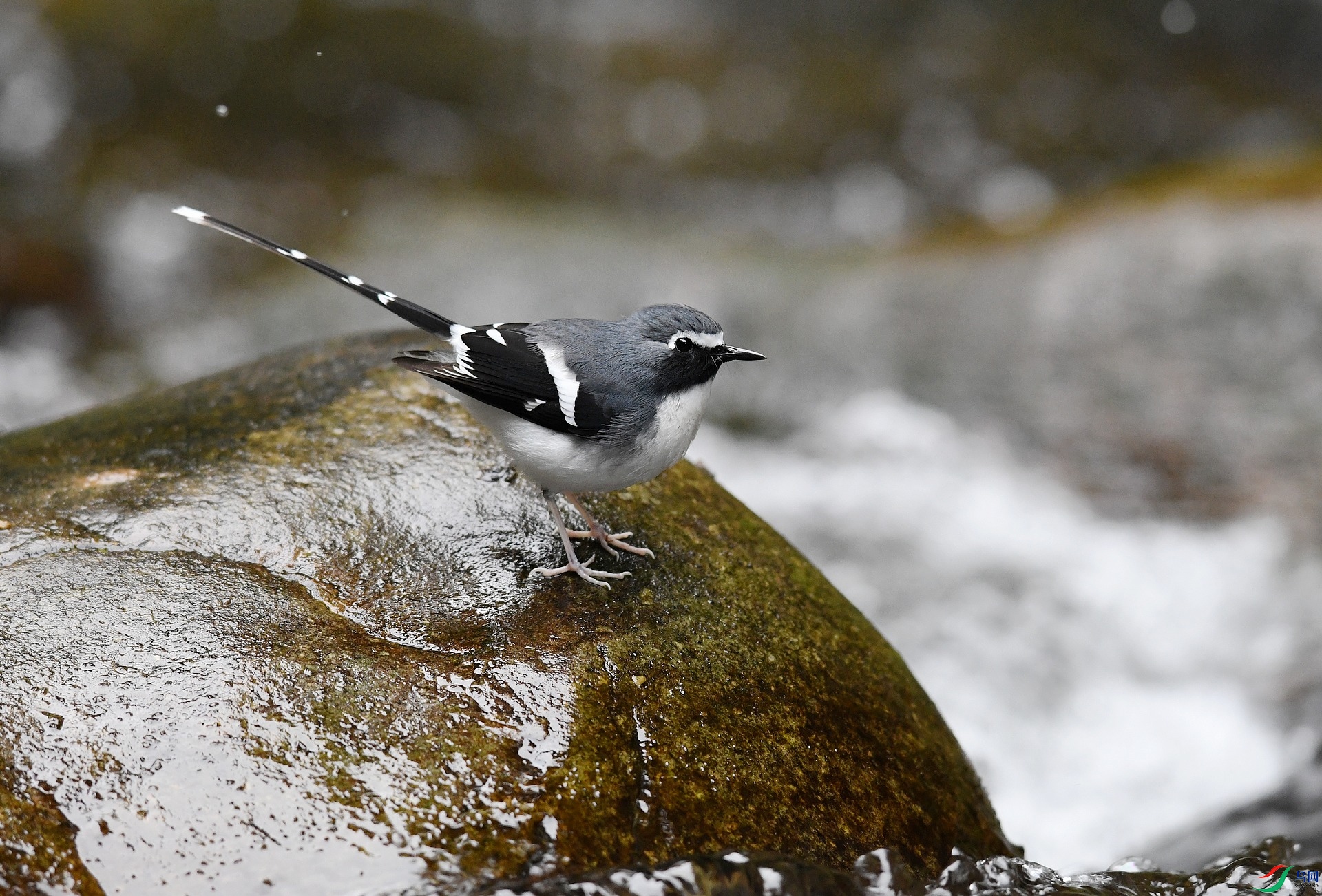 DSC_2787.jpg