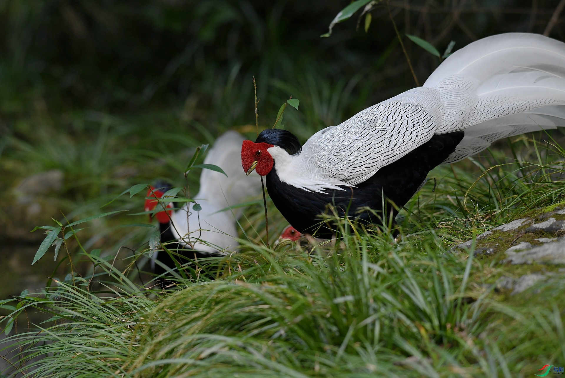 DSC_4162.jpg