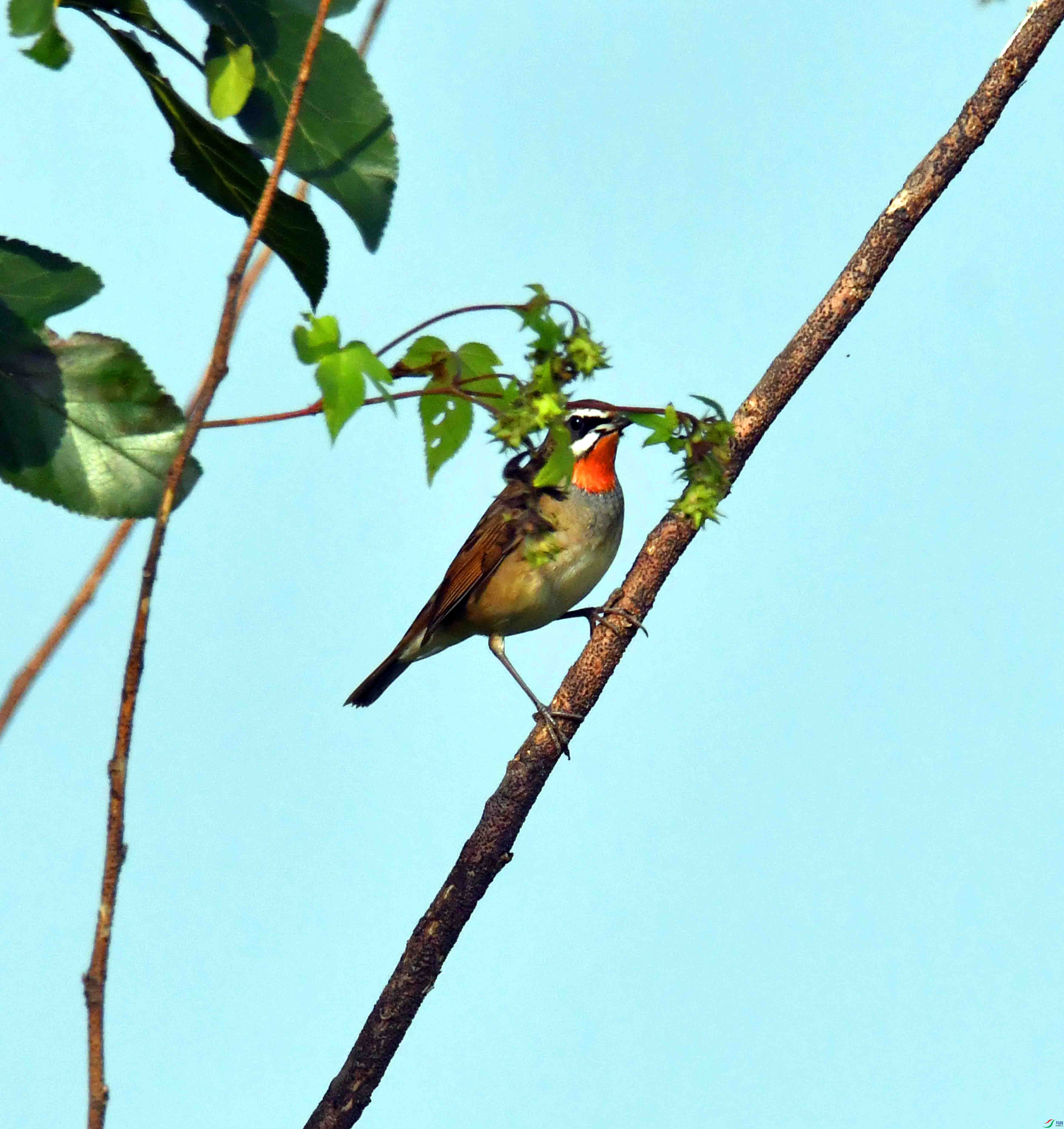 DSC_3817.JPG