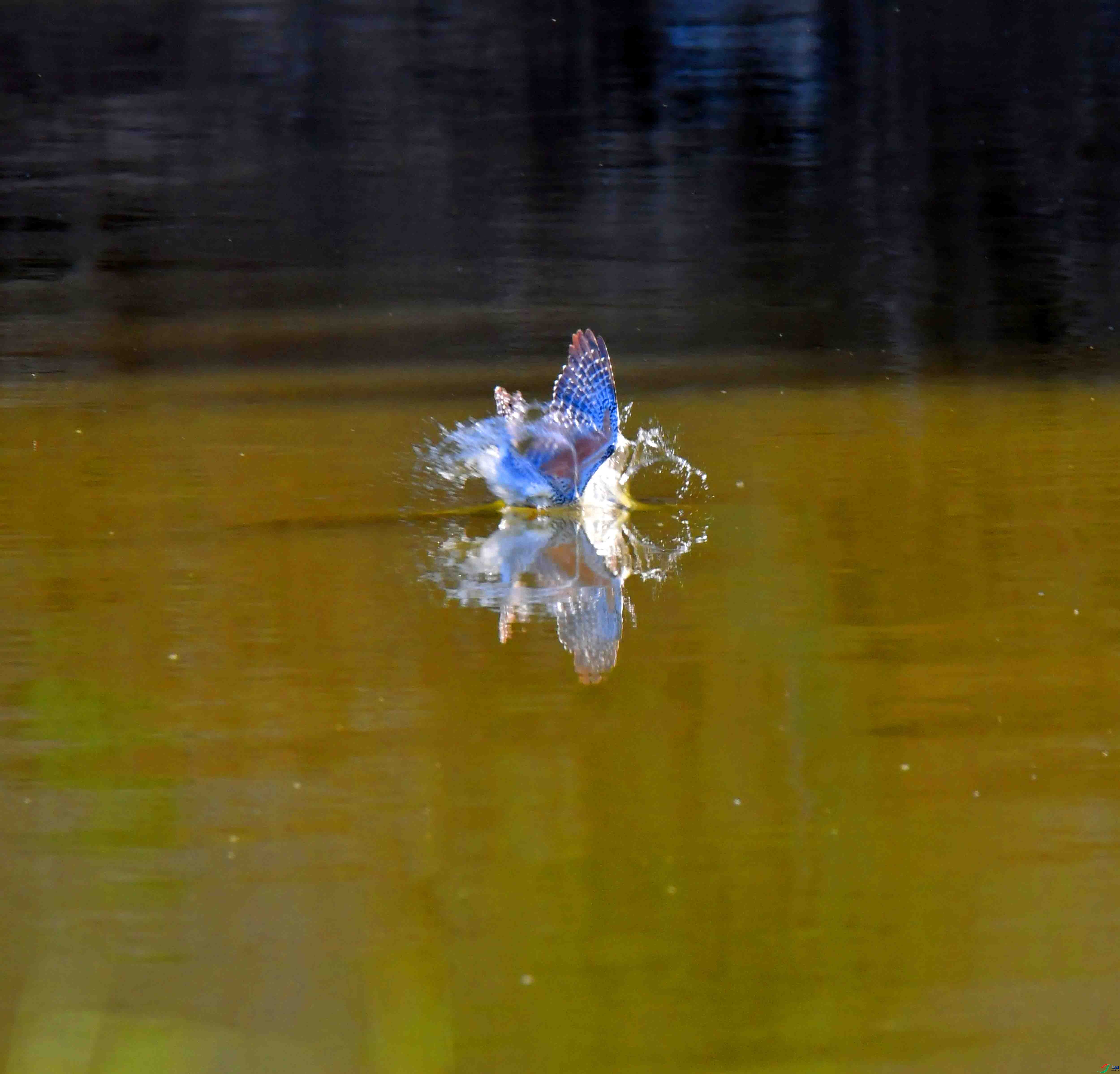 DSC_2382.JPG