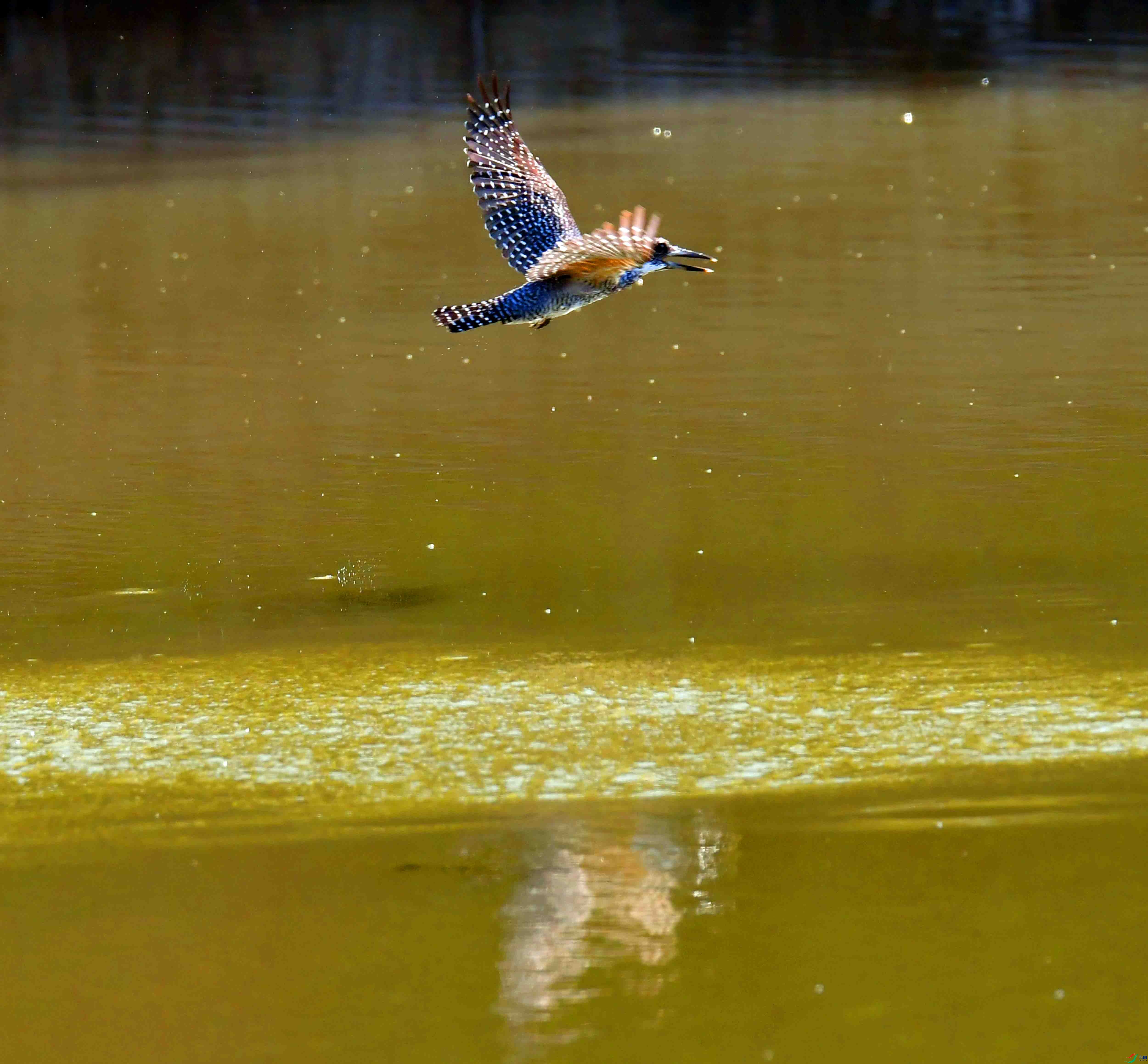 DSC_3359.JPG