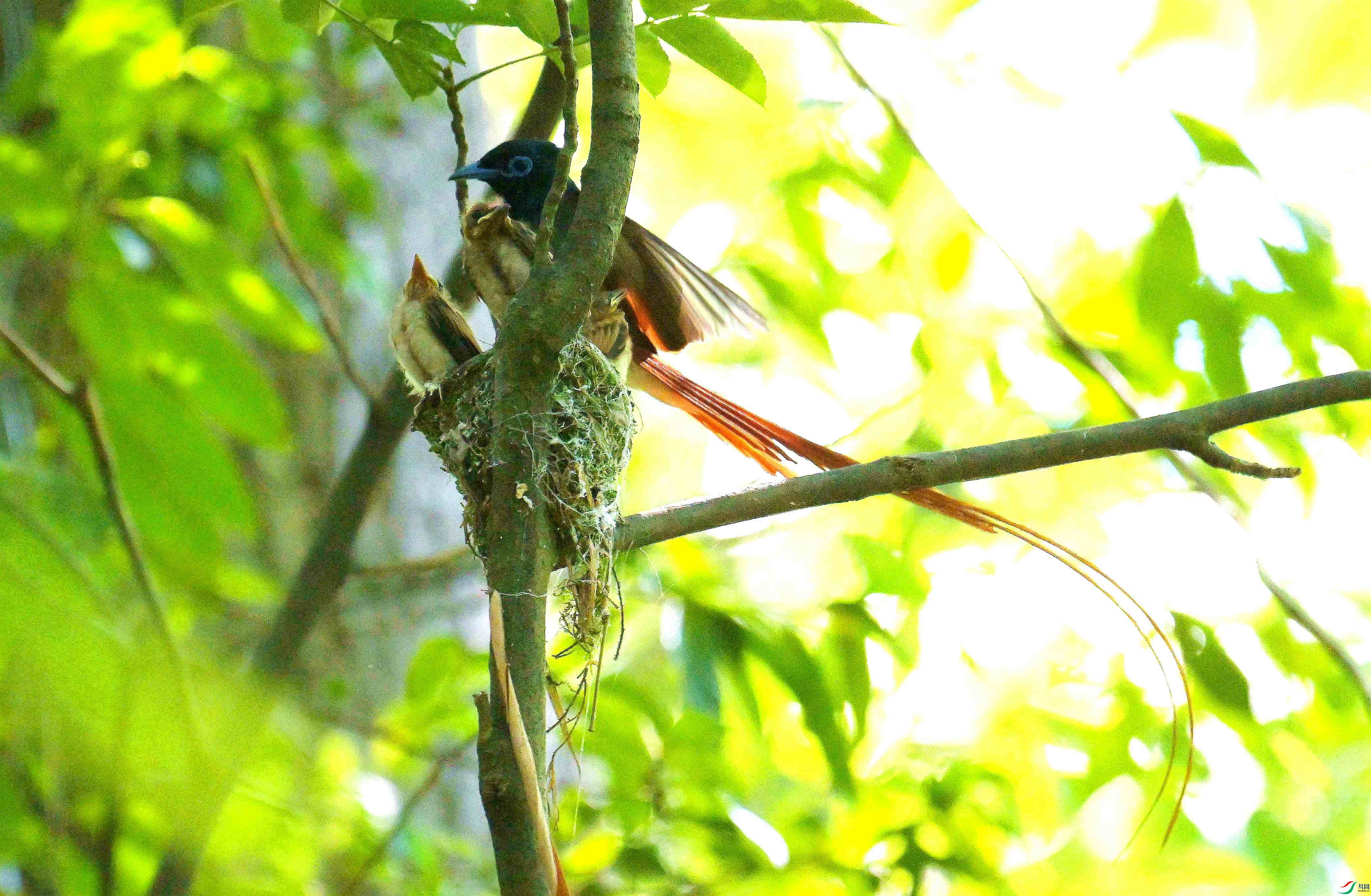 DSC_6319.jpg