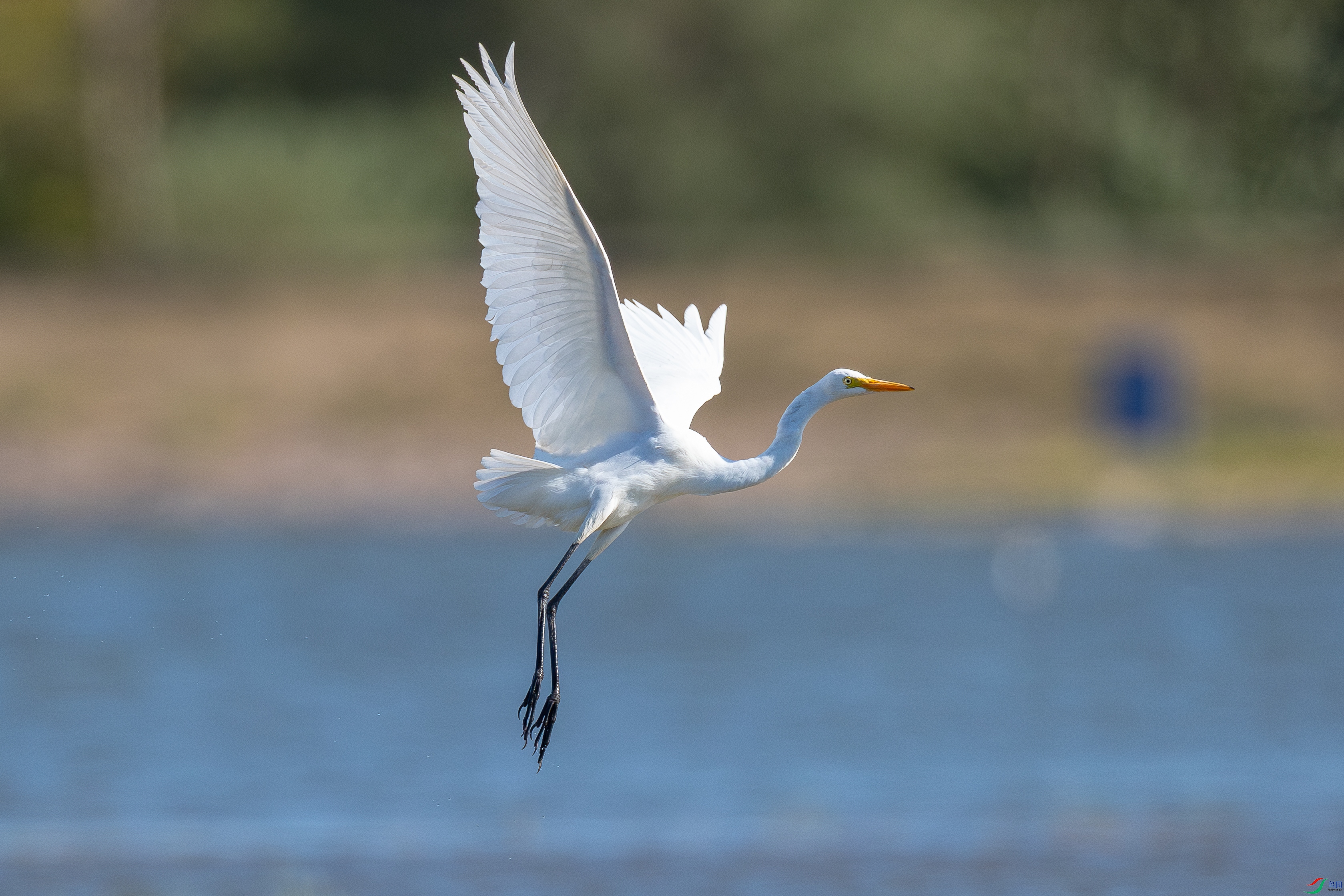 �װ�����������1