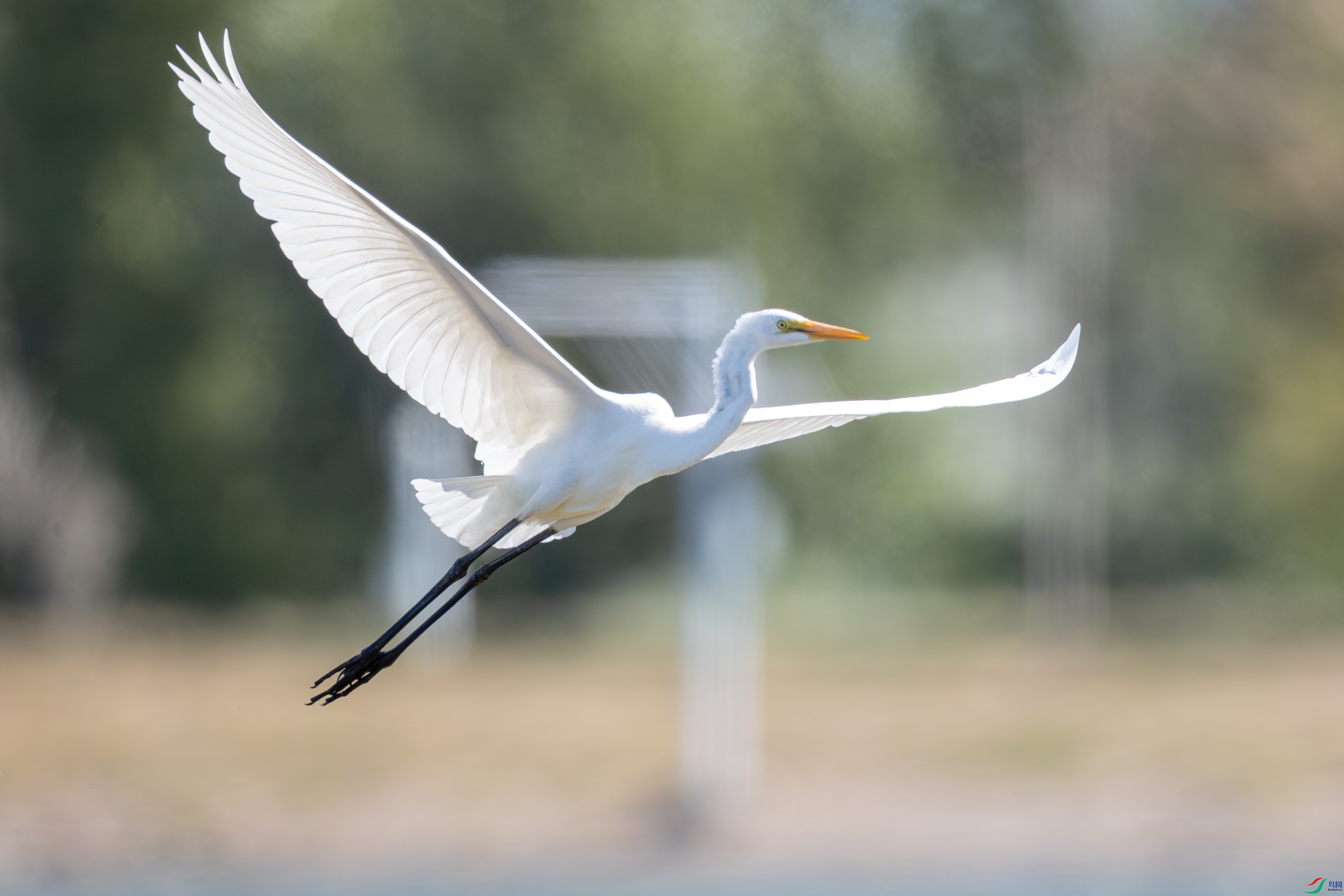 �װ�����������3