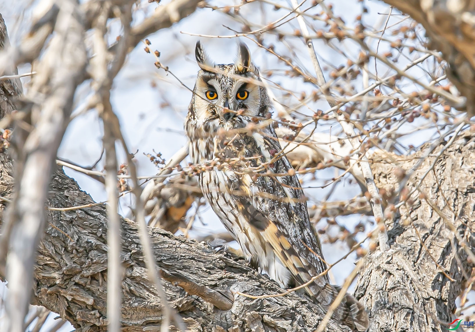 _I6W2128 ���������^.jpg