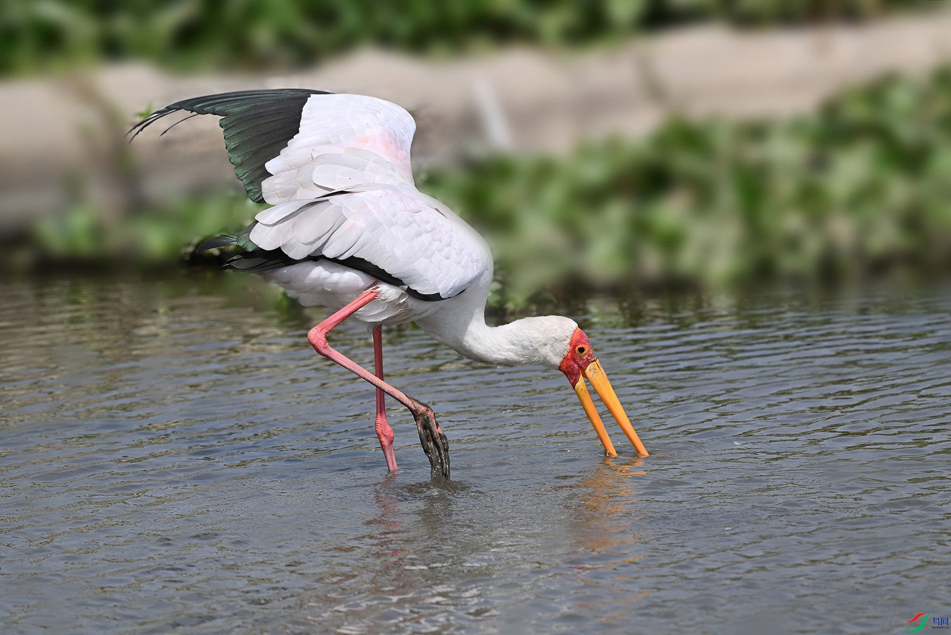 DSC_5906_.jpg