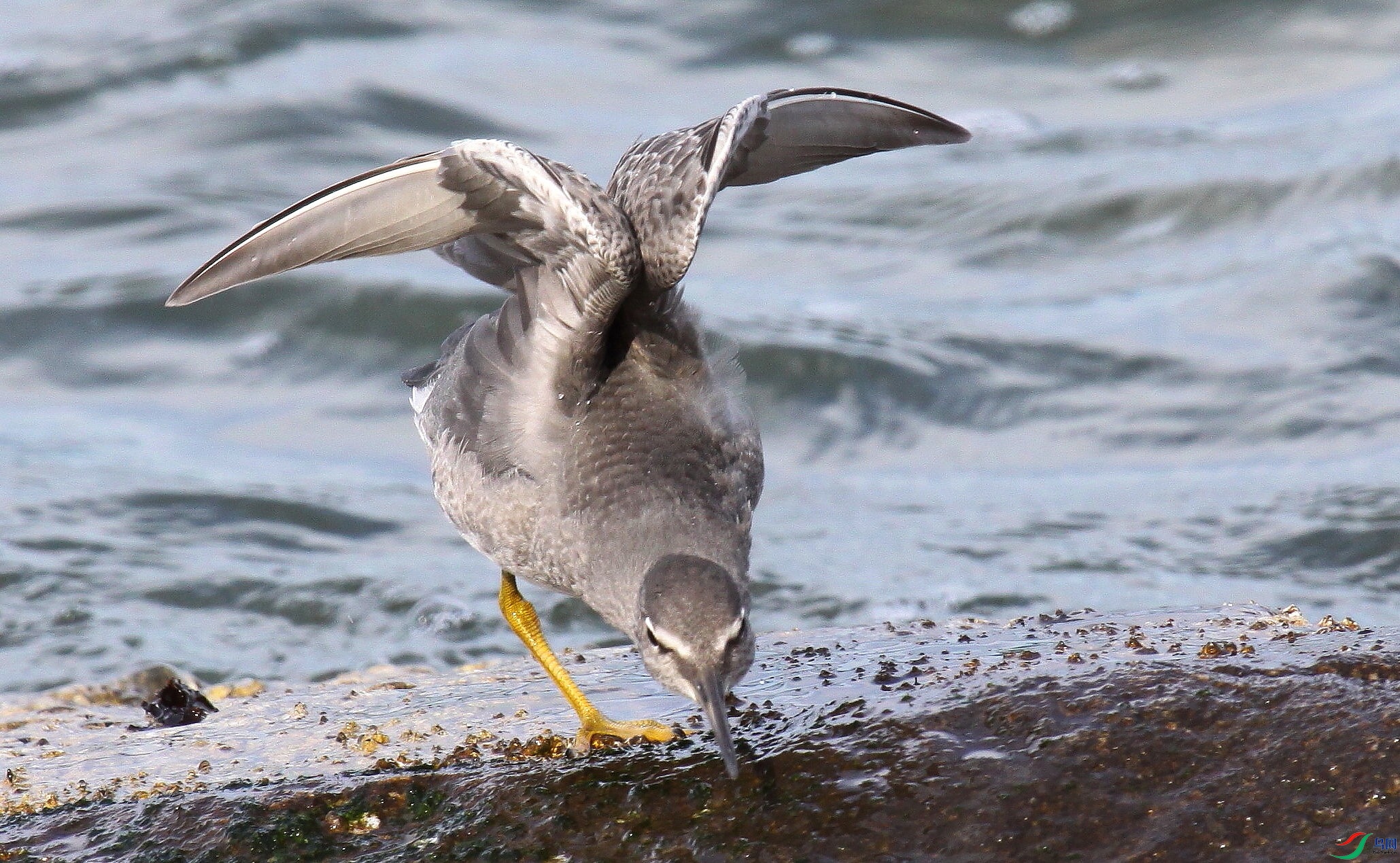 Iona040909 172zz.jpg