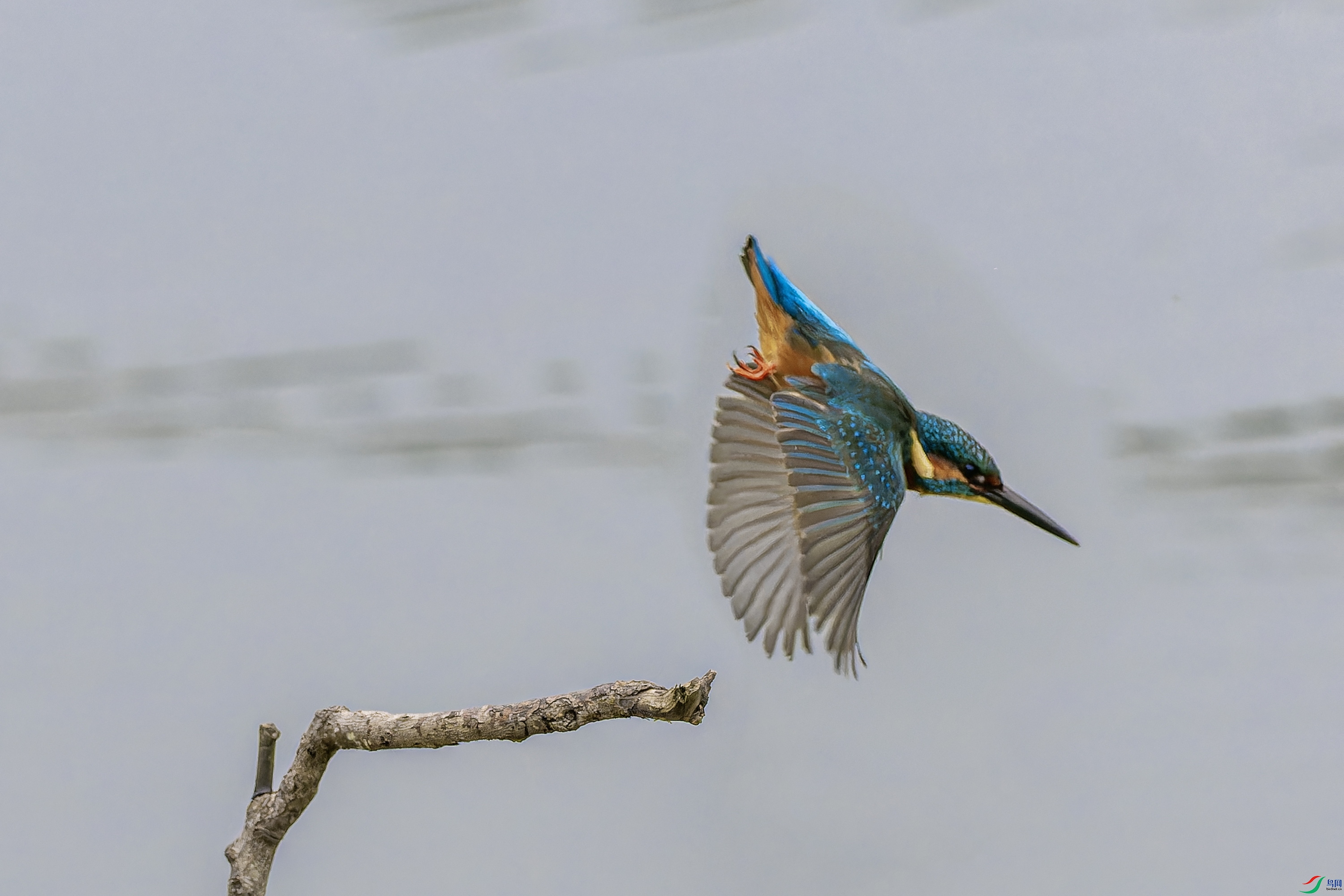 ��ͨ���� (9)-01.jpg