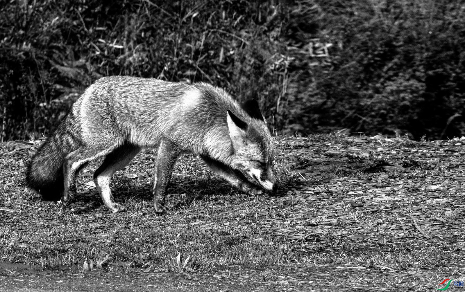 ��� (17)-01.jpg