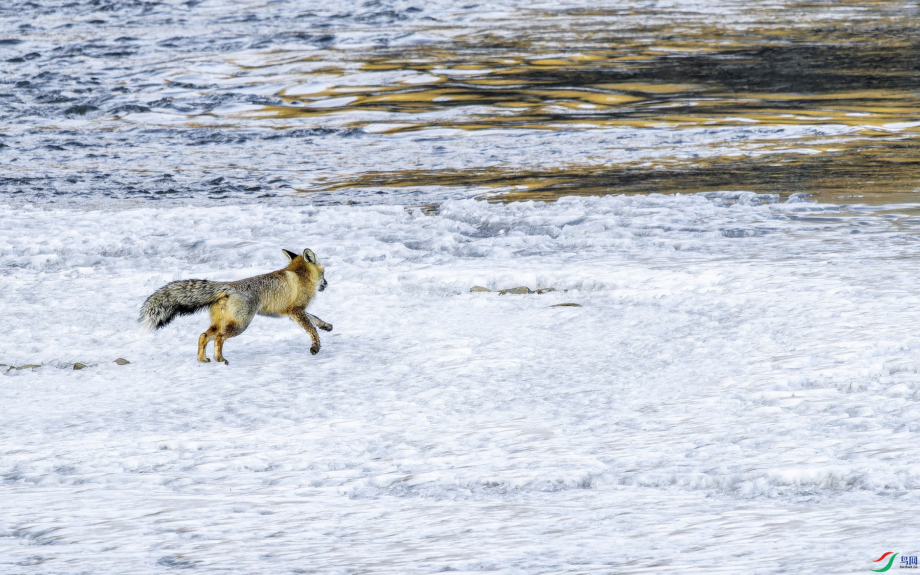 ��� (10)-01.jpg