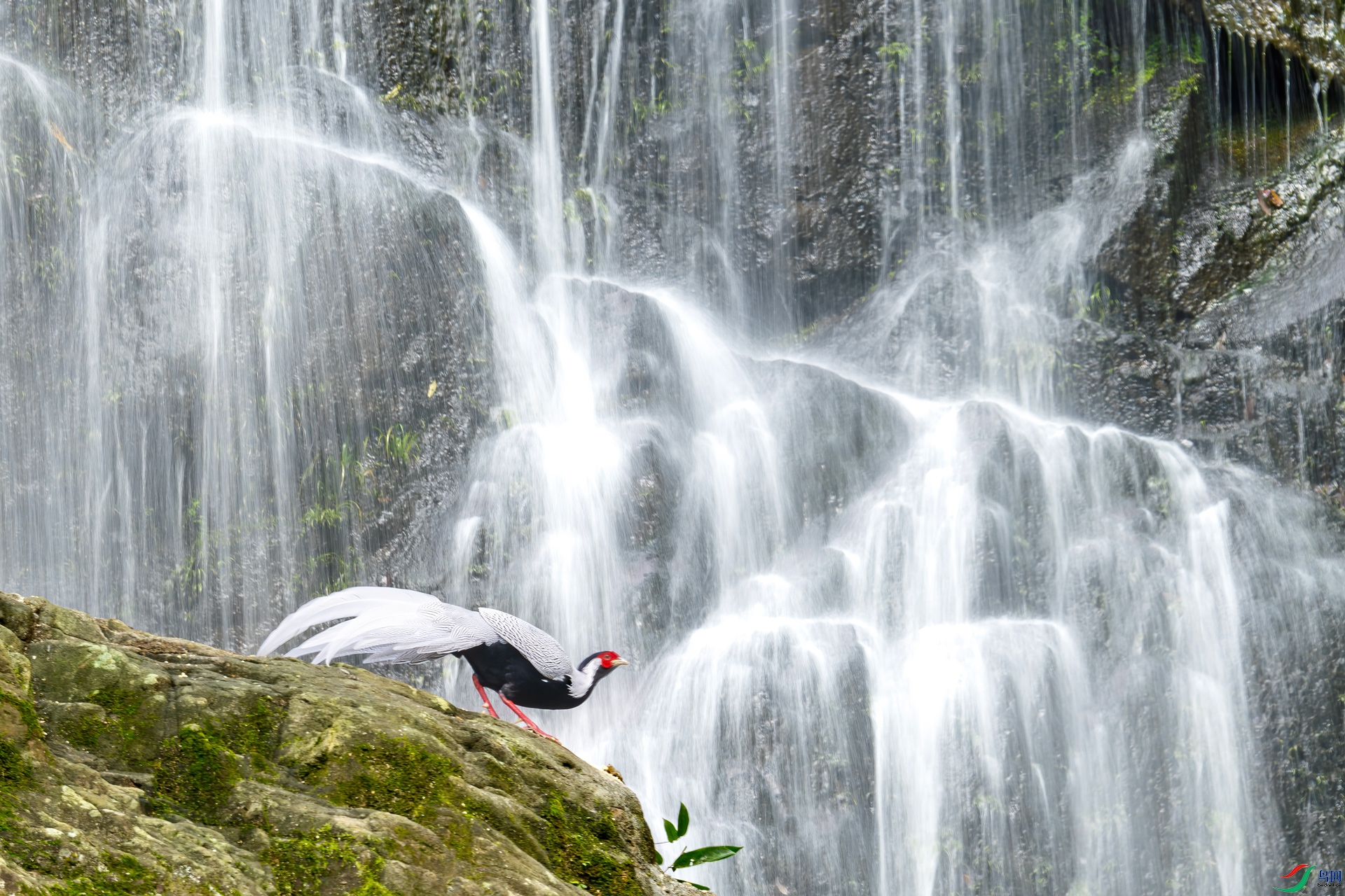 DSC_6087-����ǿ-NR-����-2.jpg