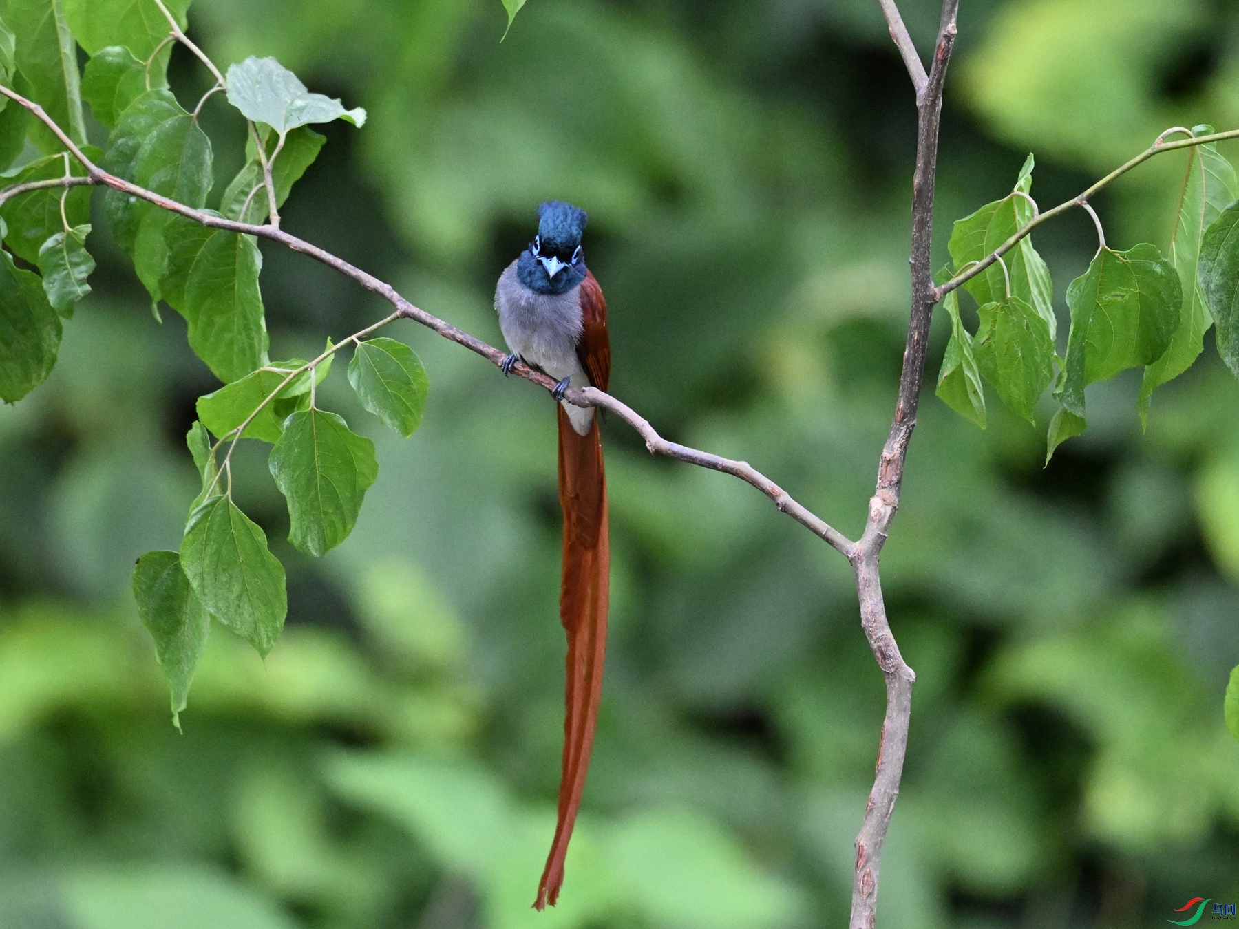 DSC_6932.JPG