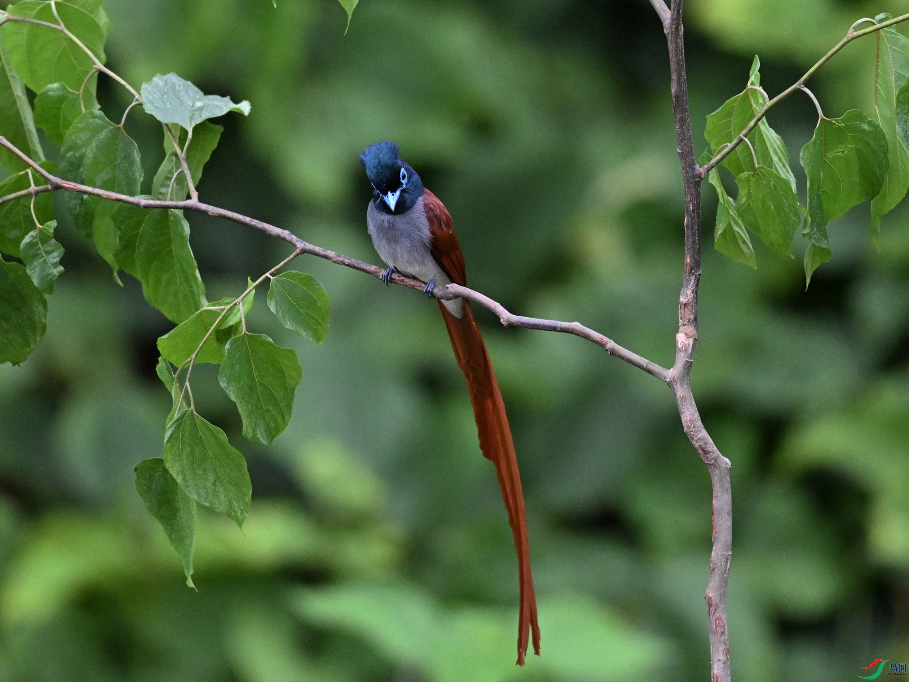 DSC_6923.JPG