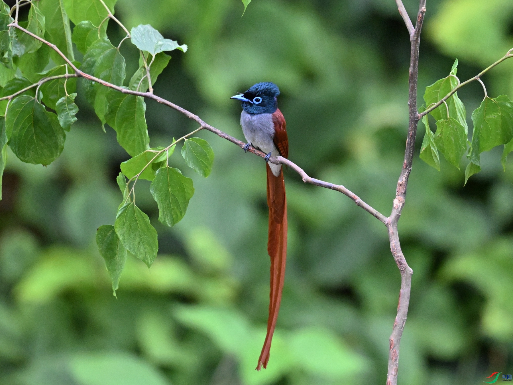 DSC_6935.JPG