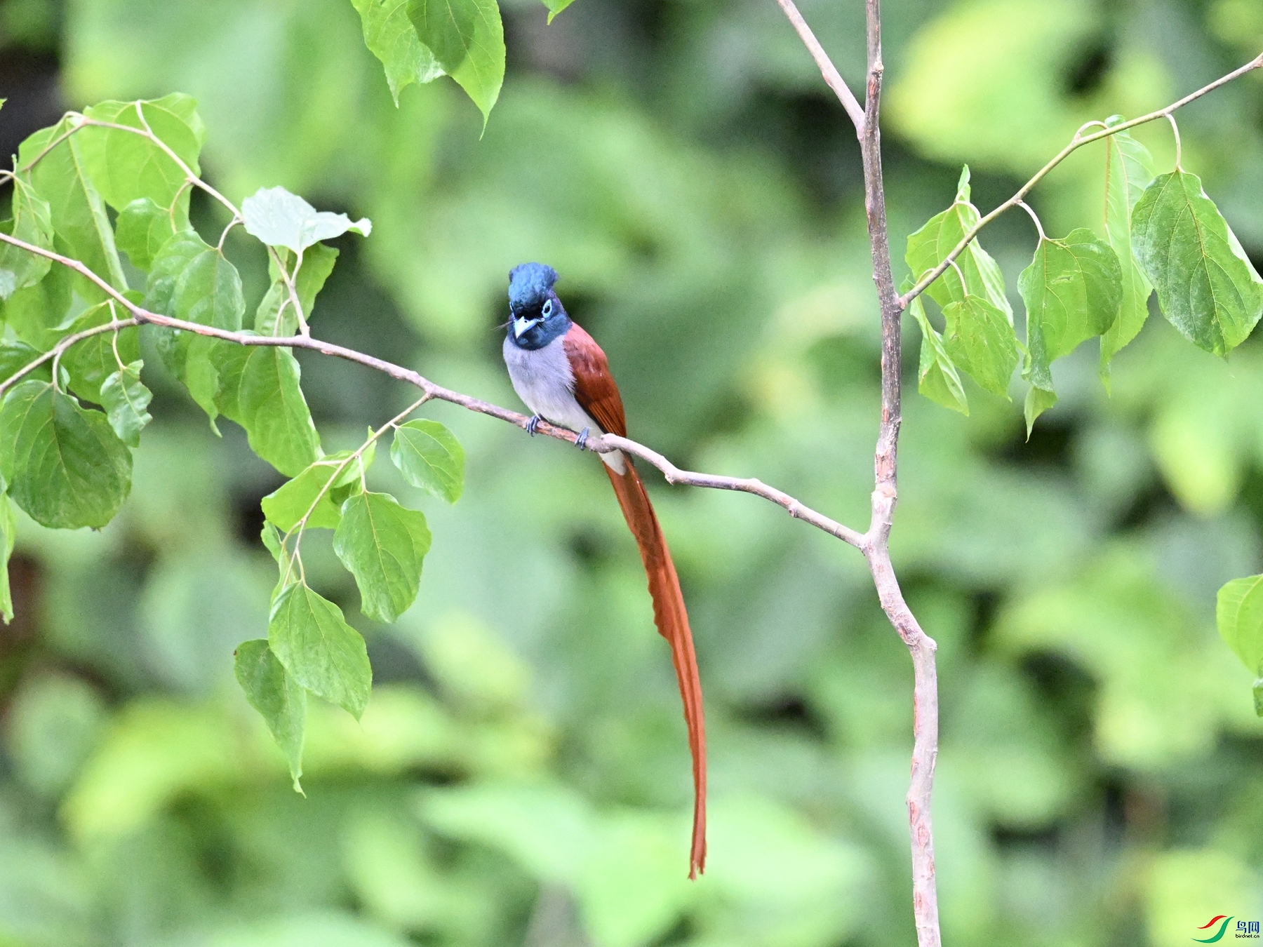 DSC_6915.JPG