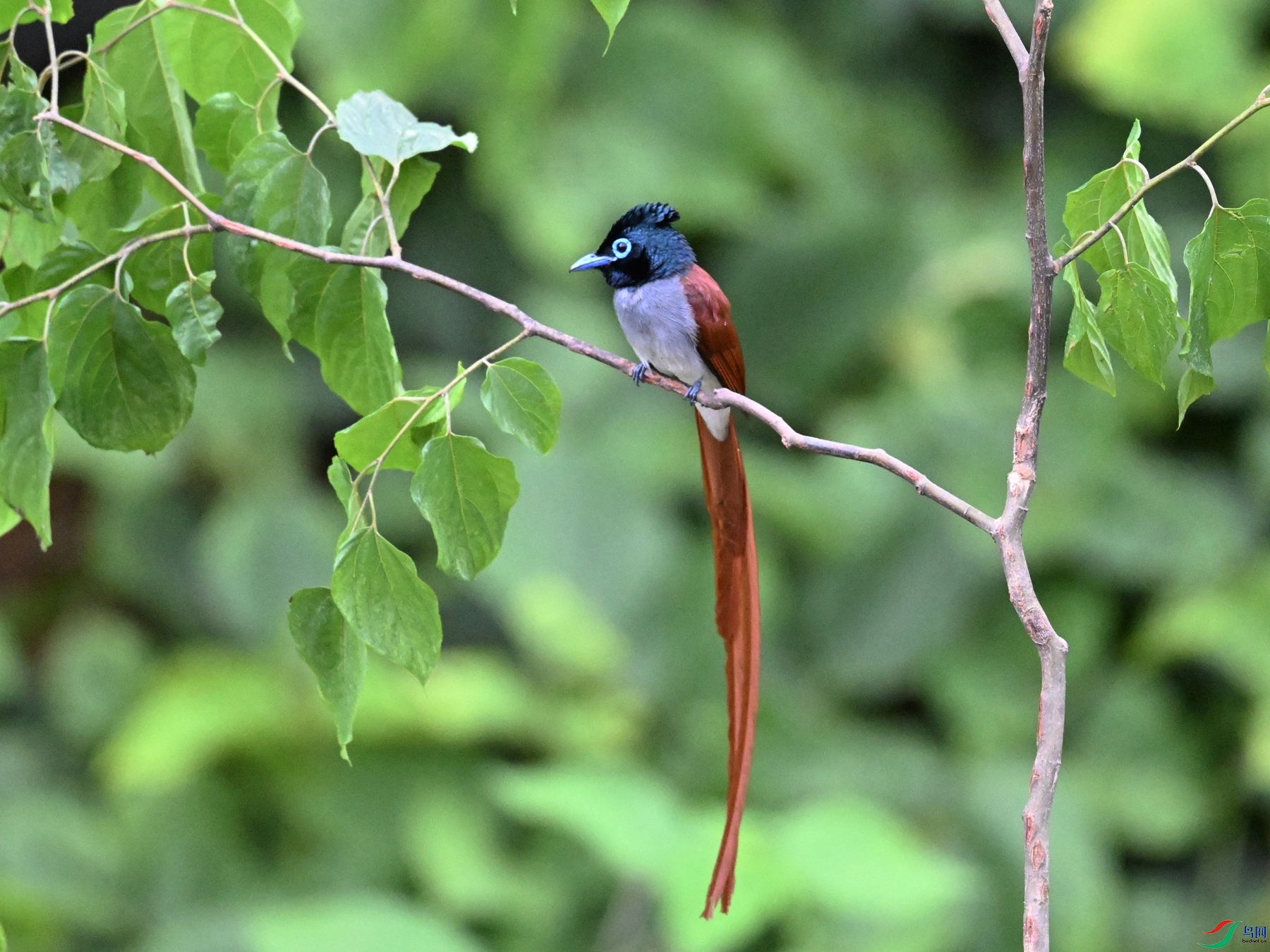 DSC_6939.JPG