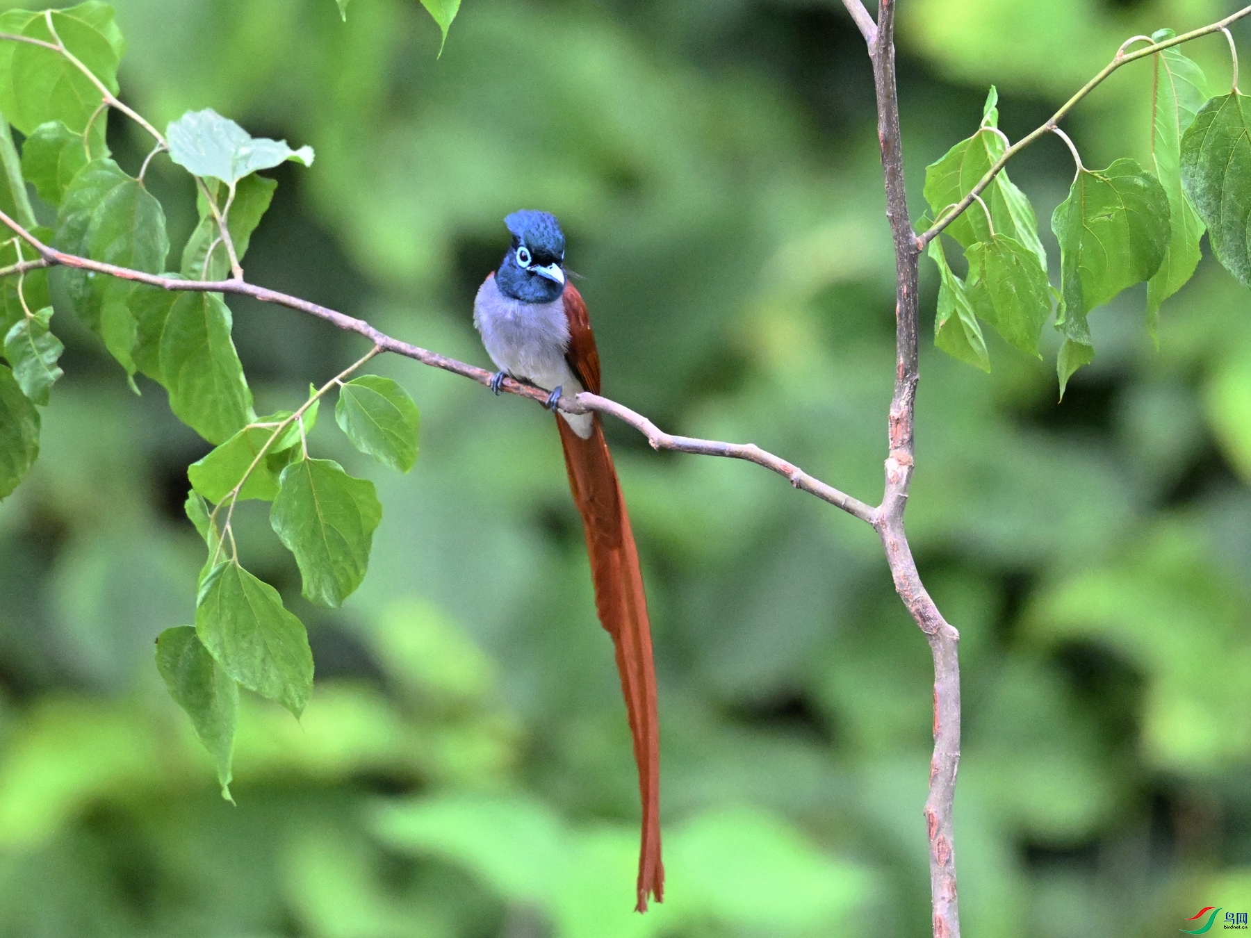 DSC_6929.JPG