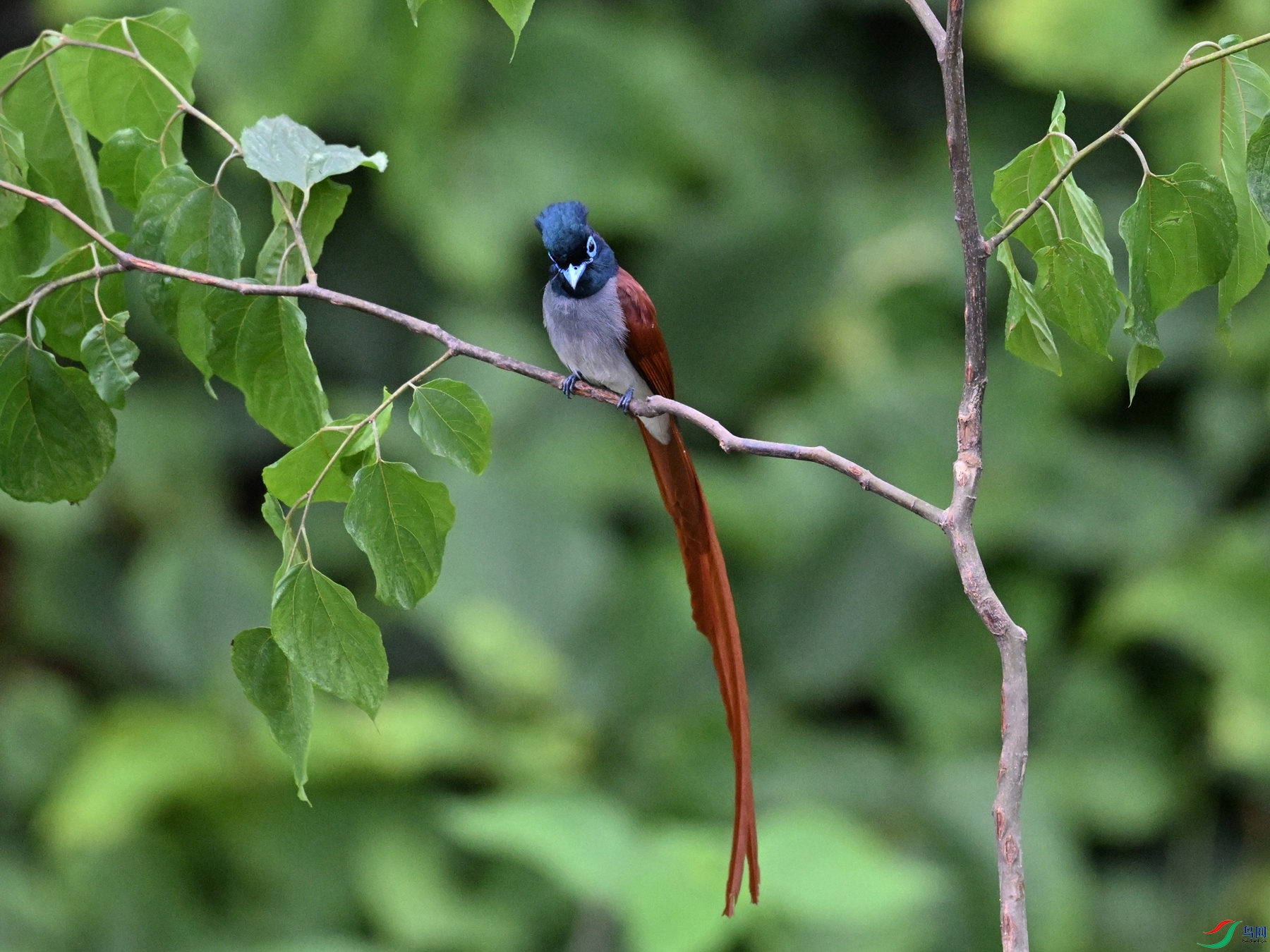 DSC_6920.JPG