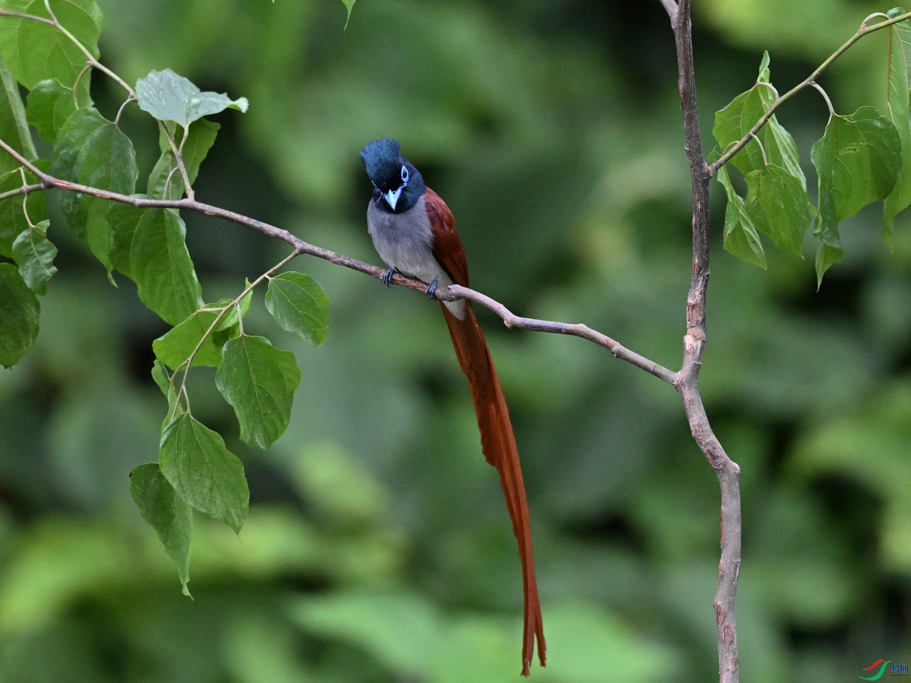 DSC_6922.JPG