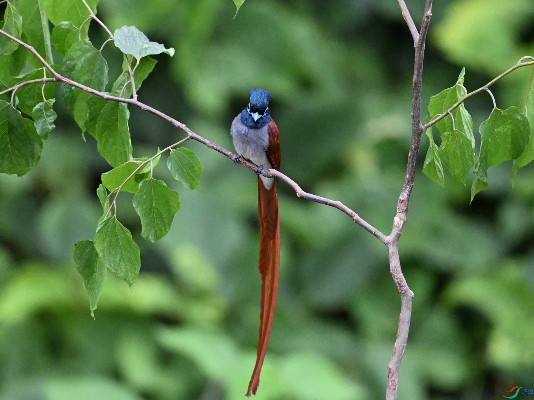 DSC_6933.JPG