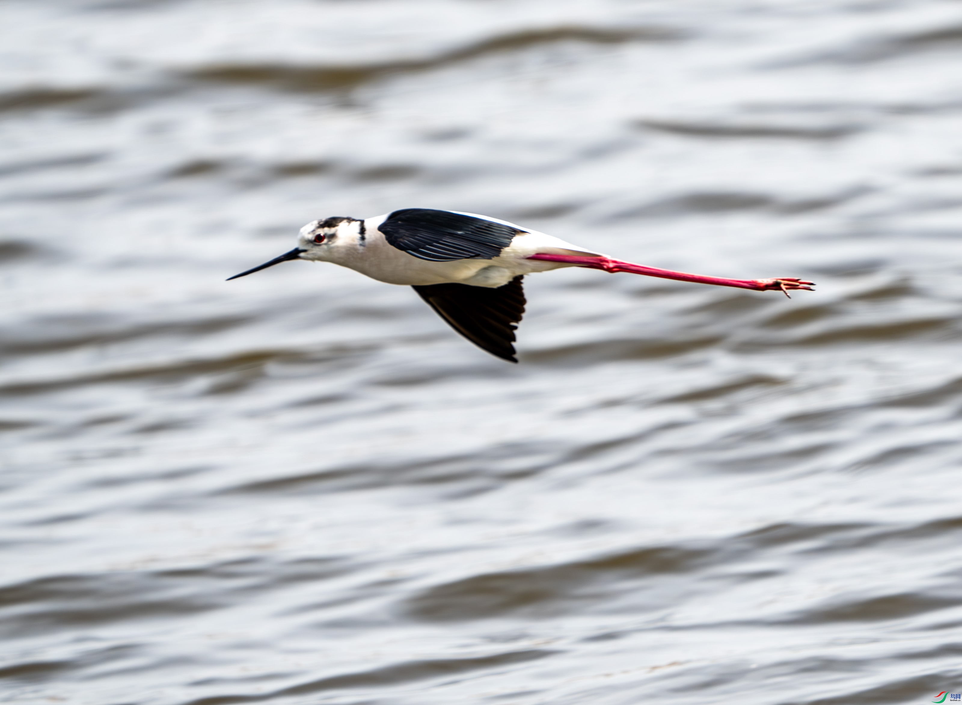 ������ -03.jpg