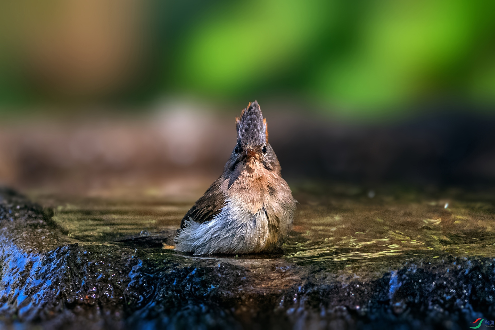 _AUU1109���η���(24.2.17).jpg
