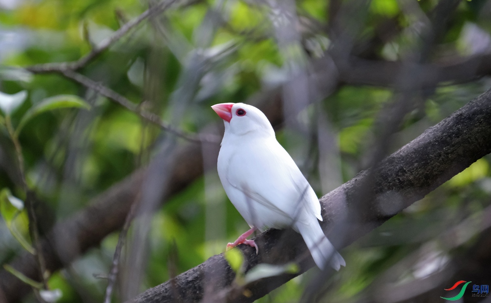 DSCF8180.1.jpg