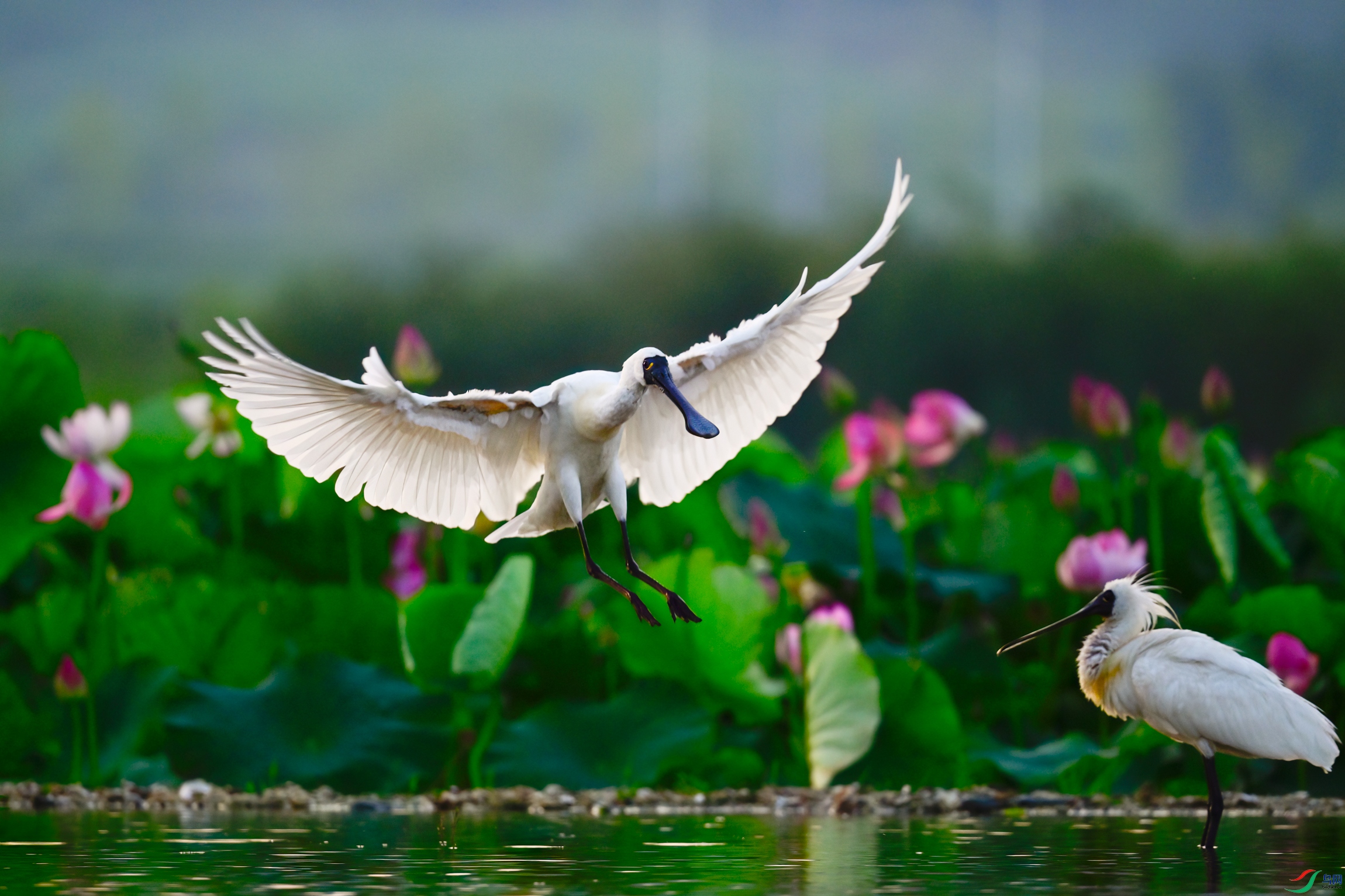 _DSC8252x.jpg