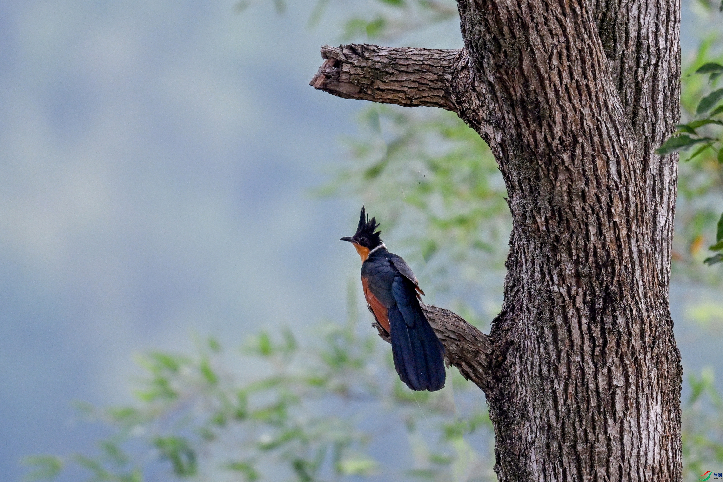DSC_9258.JPG