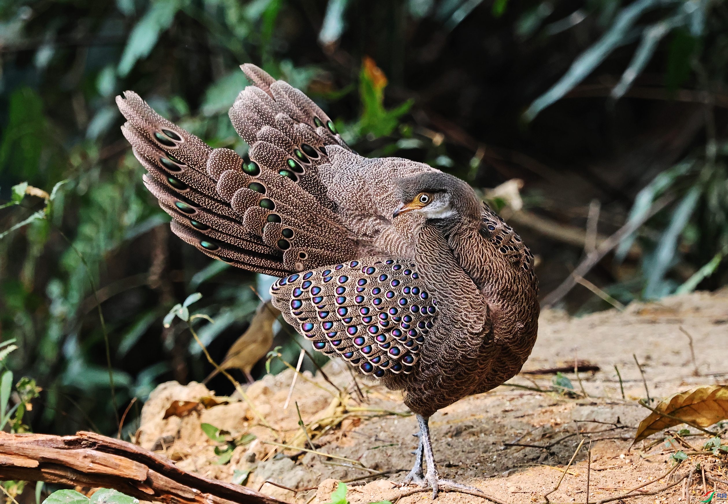 �� ��ȸ�� (44).JPG