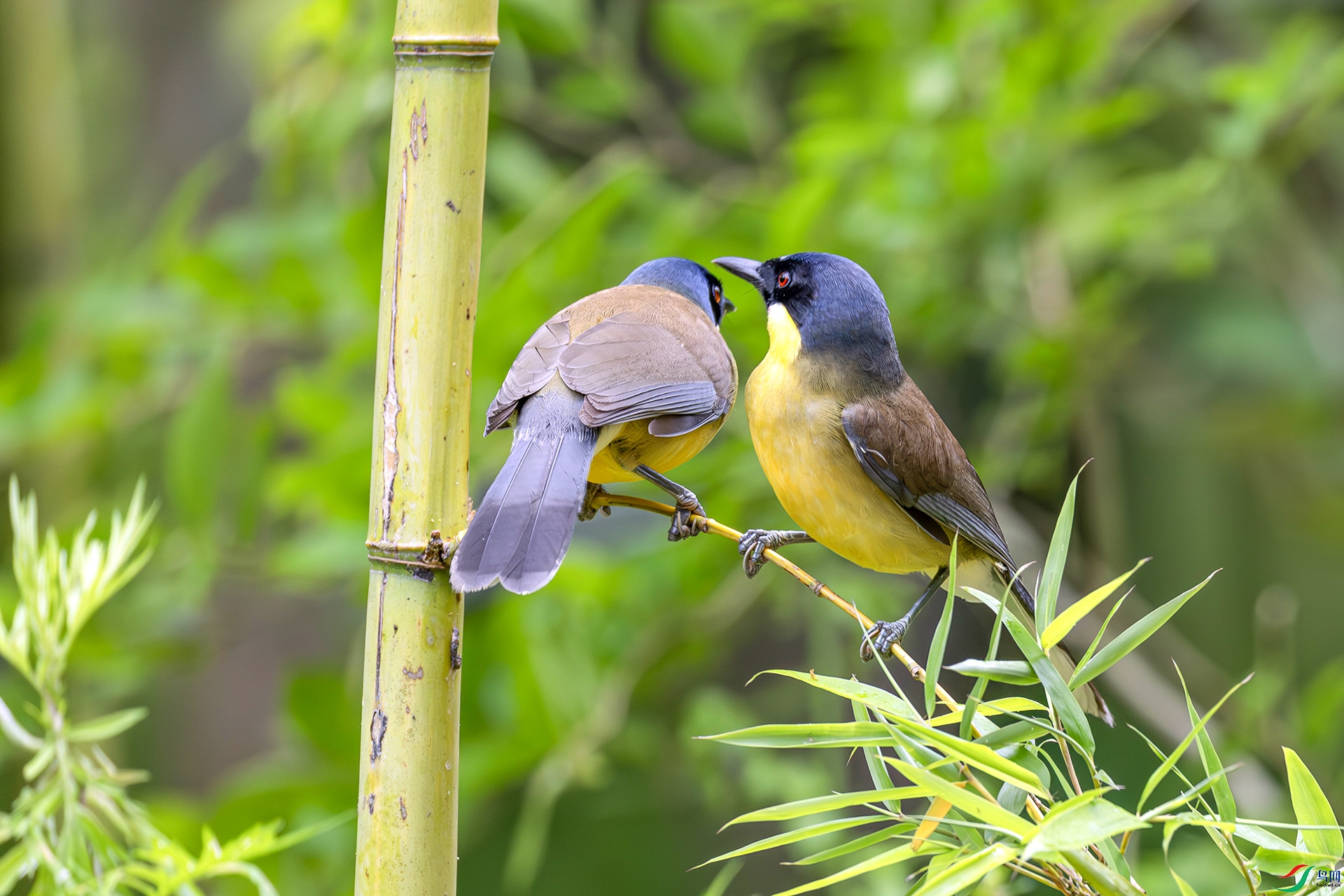 060A4886------1 .jpg