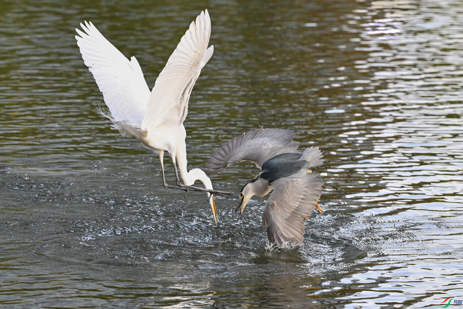 DSC_1730sen2025-2-8-141sen2025-2-9-45-�༭-2.jpg