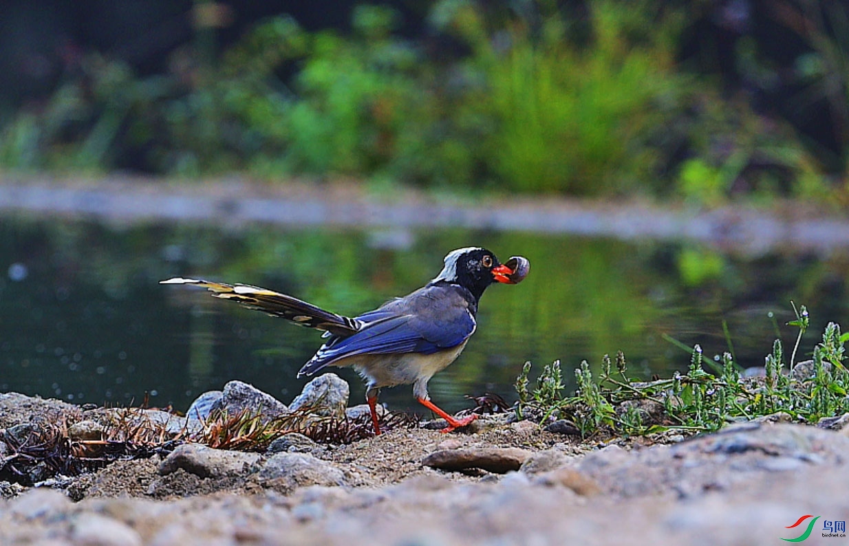 {24C8F4AF-8BCC-495B-B6EB-9D9C306A4E38} ����.jpg