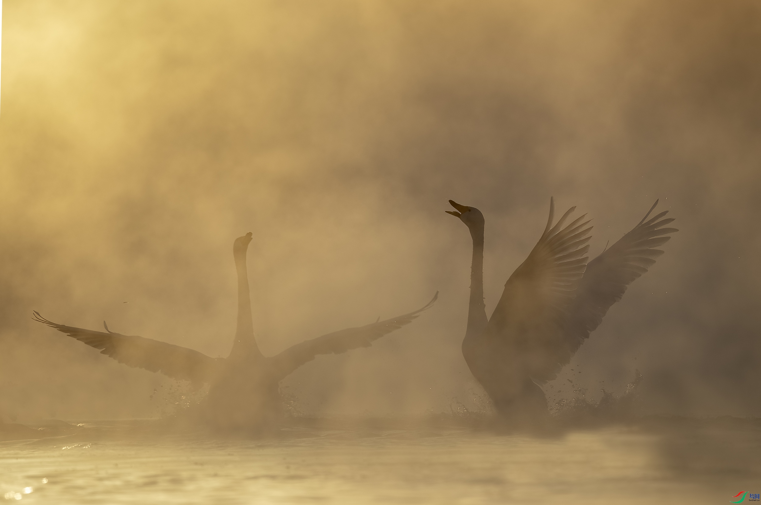 AC3I2576 ����.jpg