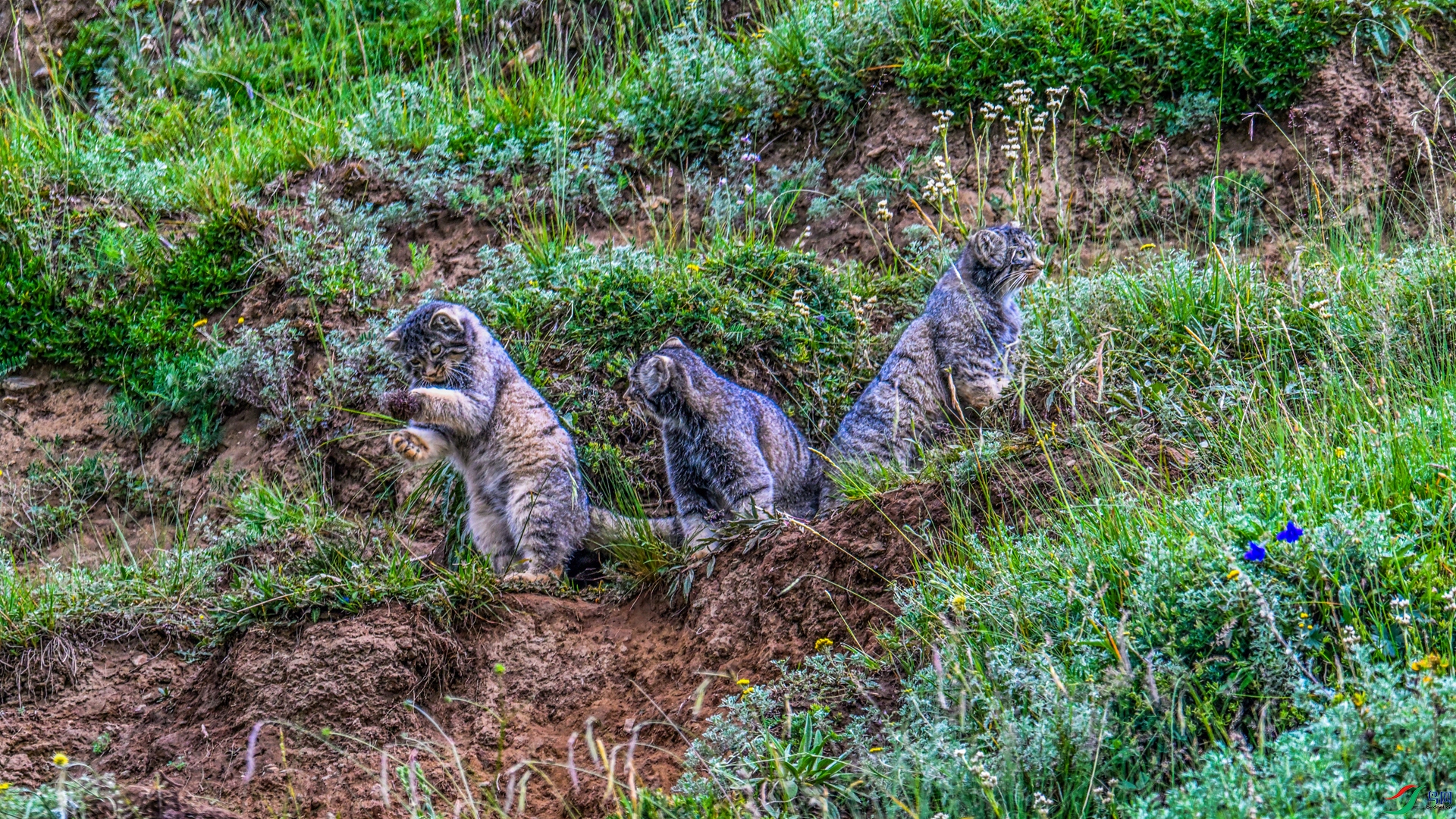 DSC_3667_����.jpg
